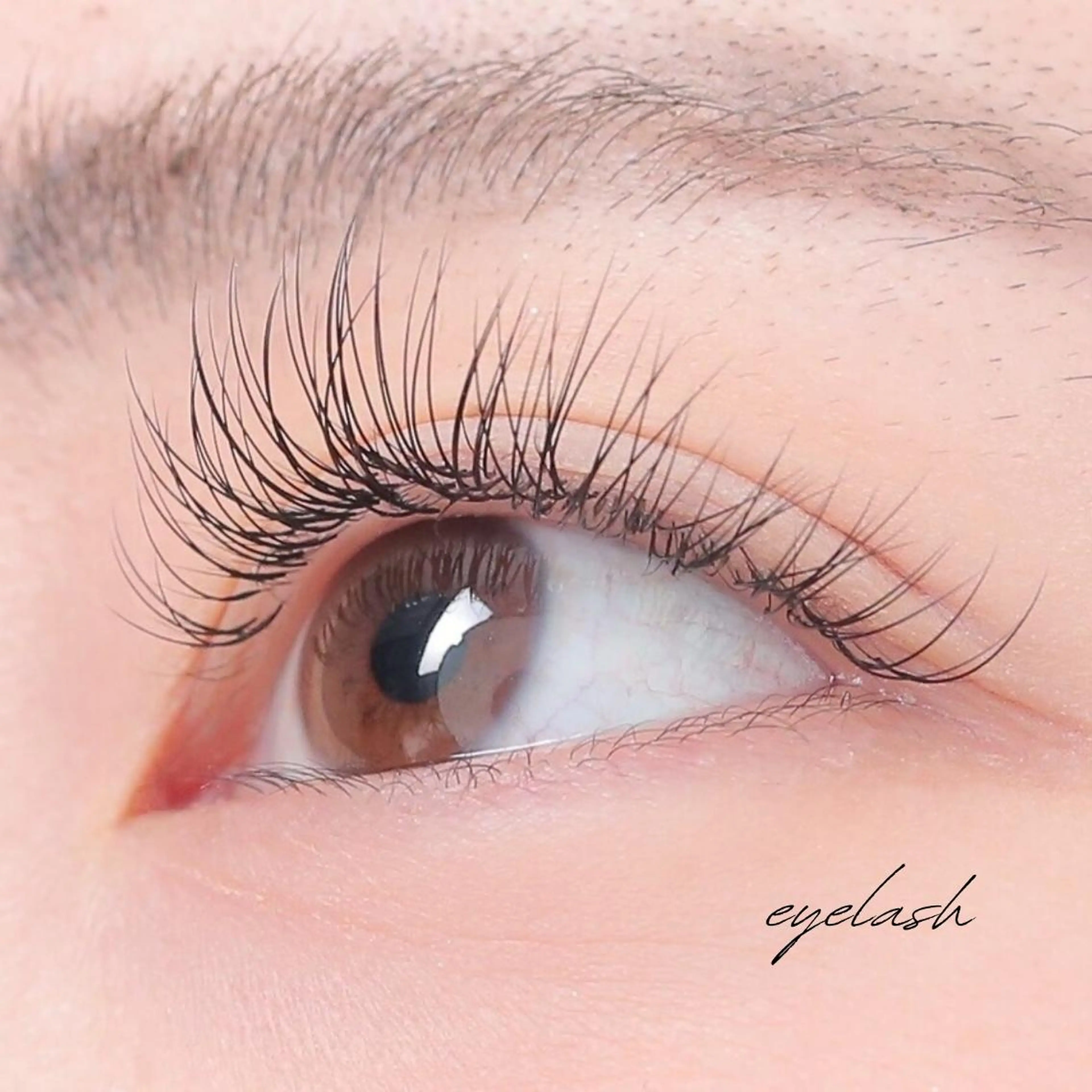 【ご新規様限定・フラットラッシュ♪】高級マツエク上100本 ¥7,700→¥4,950の写真