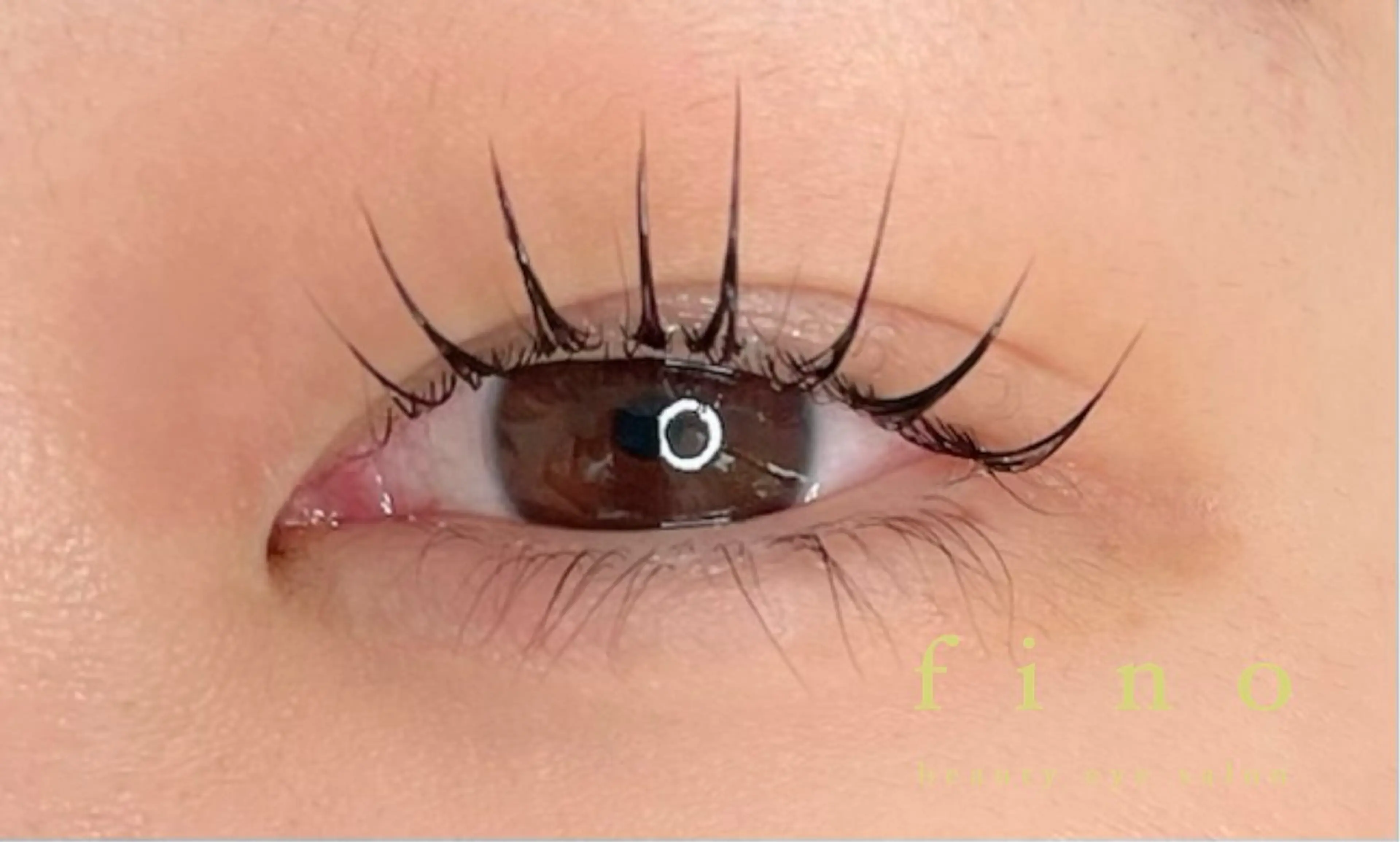 minimo限定！ラッシュリフトの写真