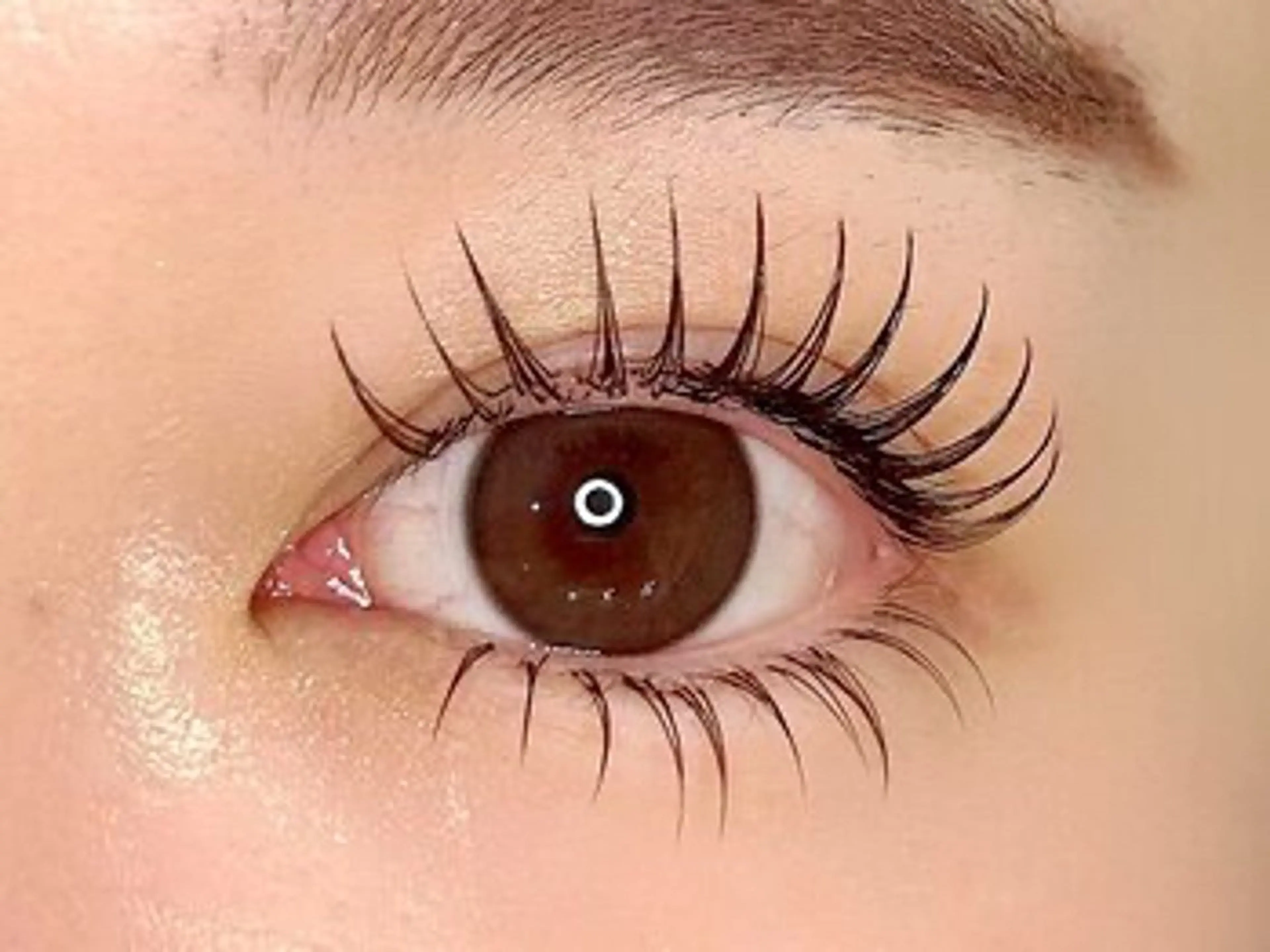 マツエク・マツパ ⭐︎Richelle beauty ⭐︎のマツエク・マツパデザイン