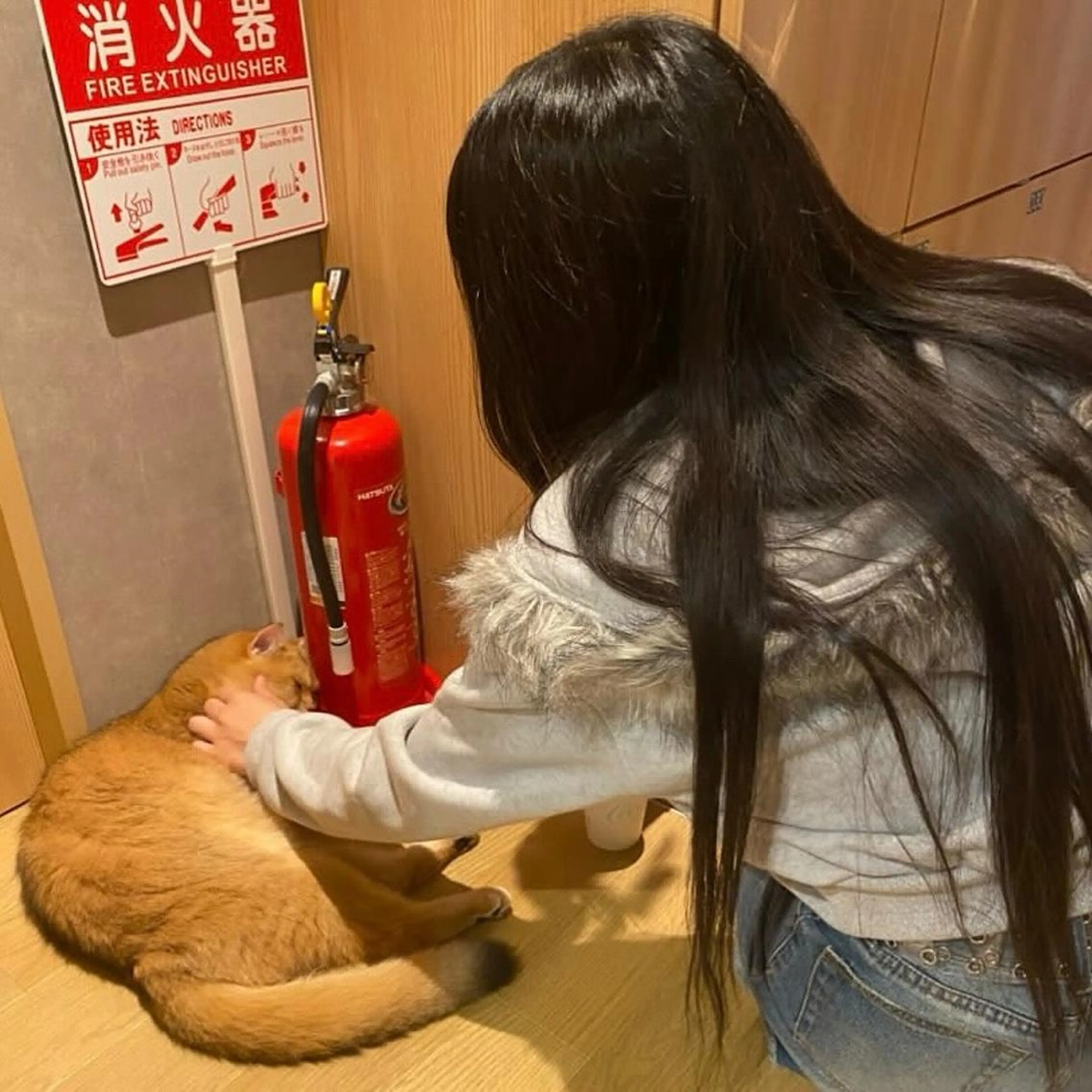 🩷Eny terrace🩷のヘアスタイル