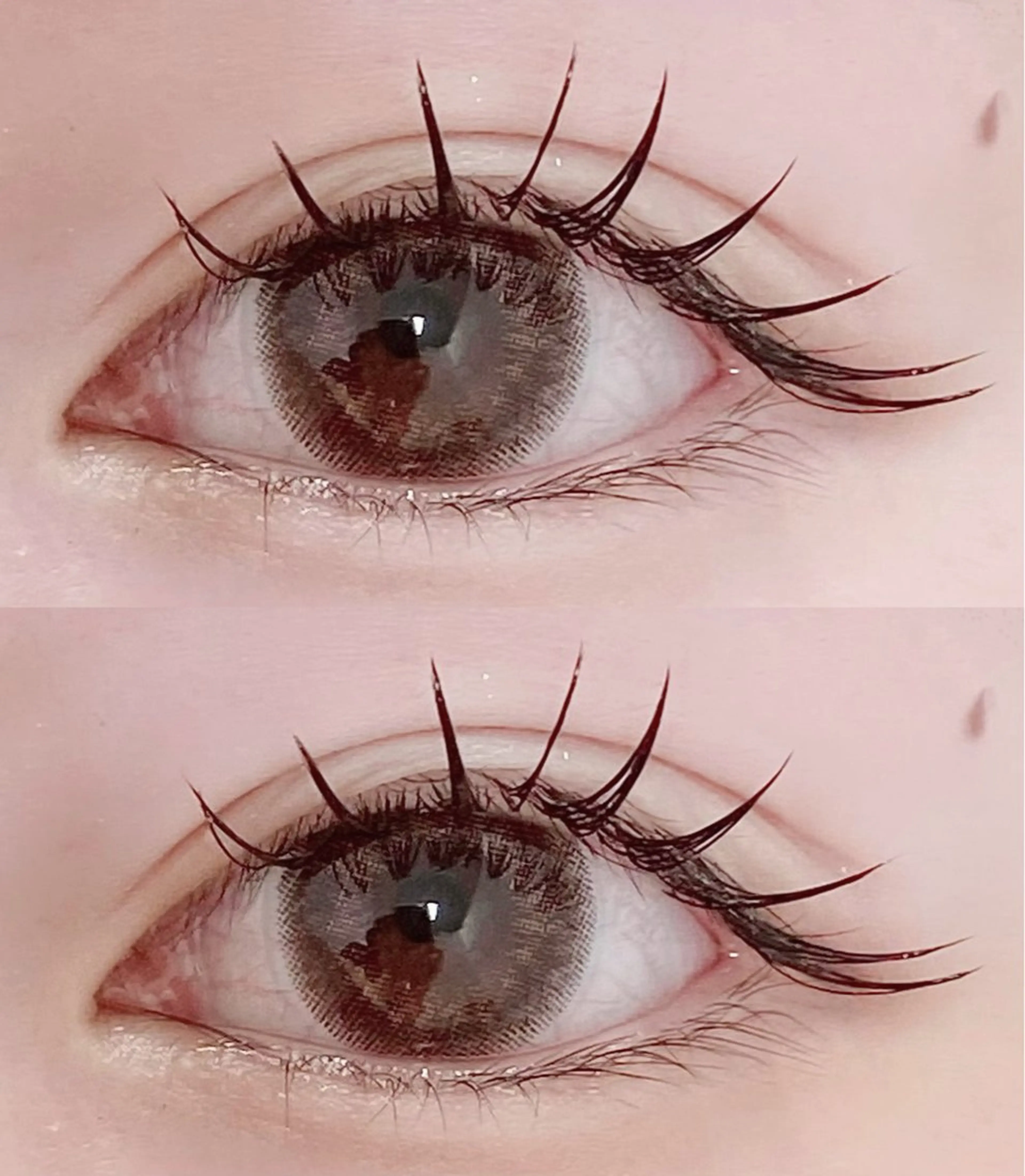 フラットマットラッシュ 100本の写真