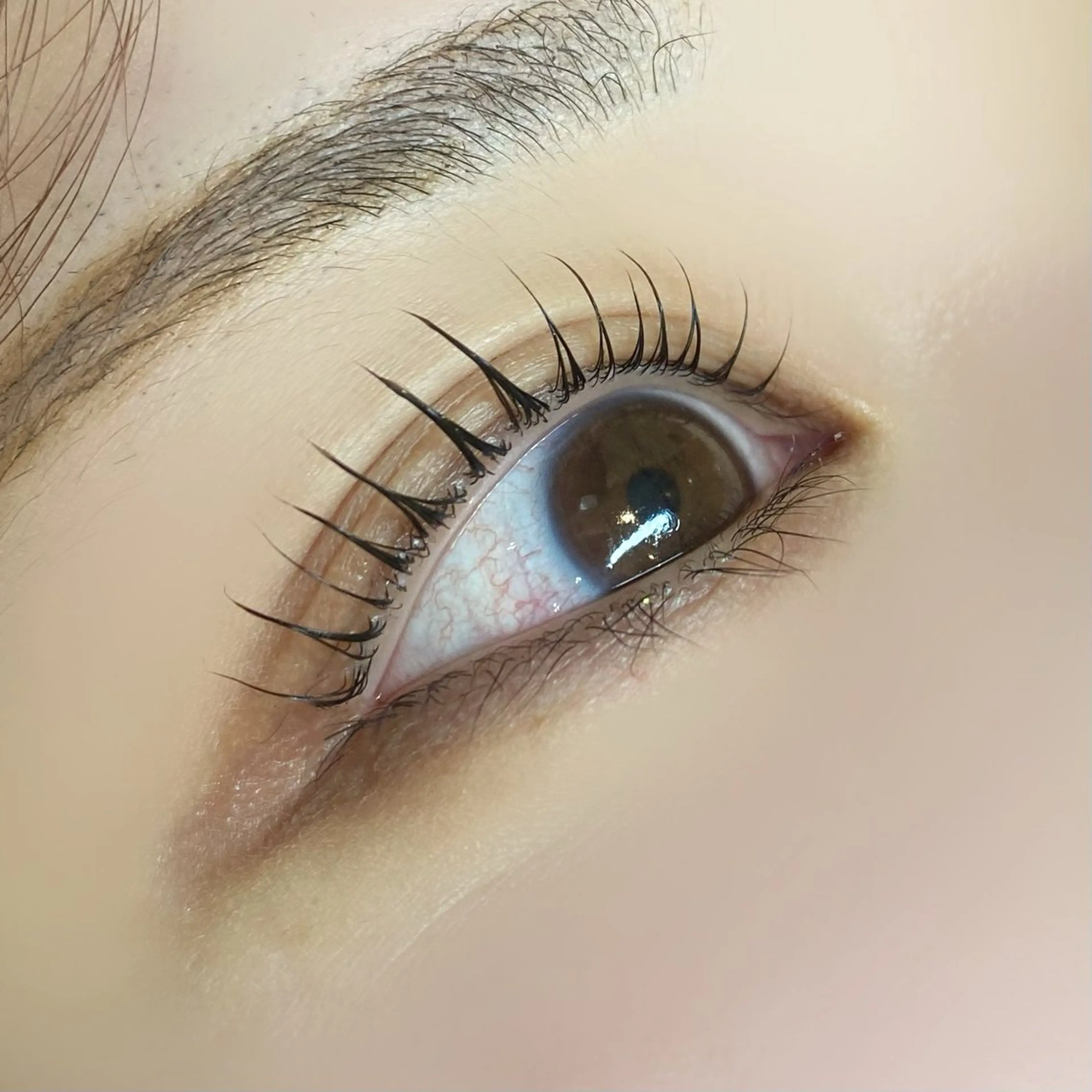 マツエク・マツパ Le Coeur 東三条店　古川瑠唯のマツエク・マツパデザイン