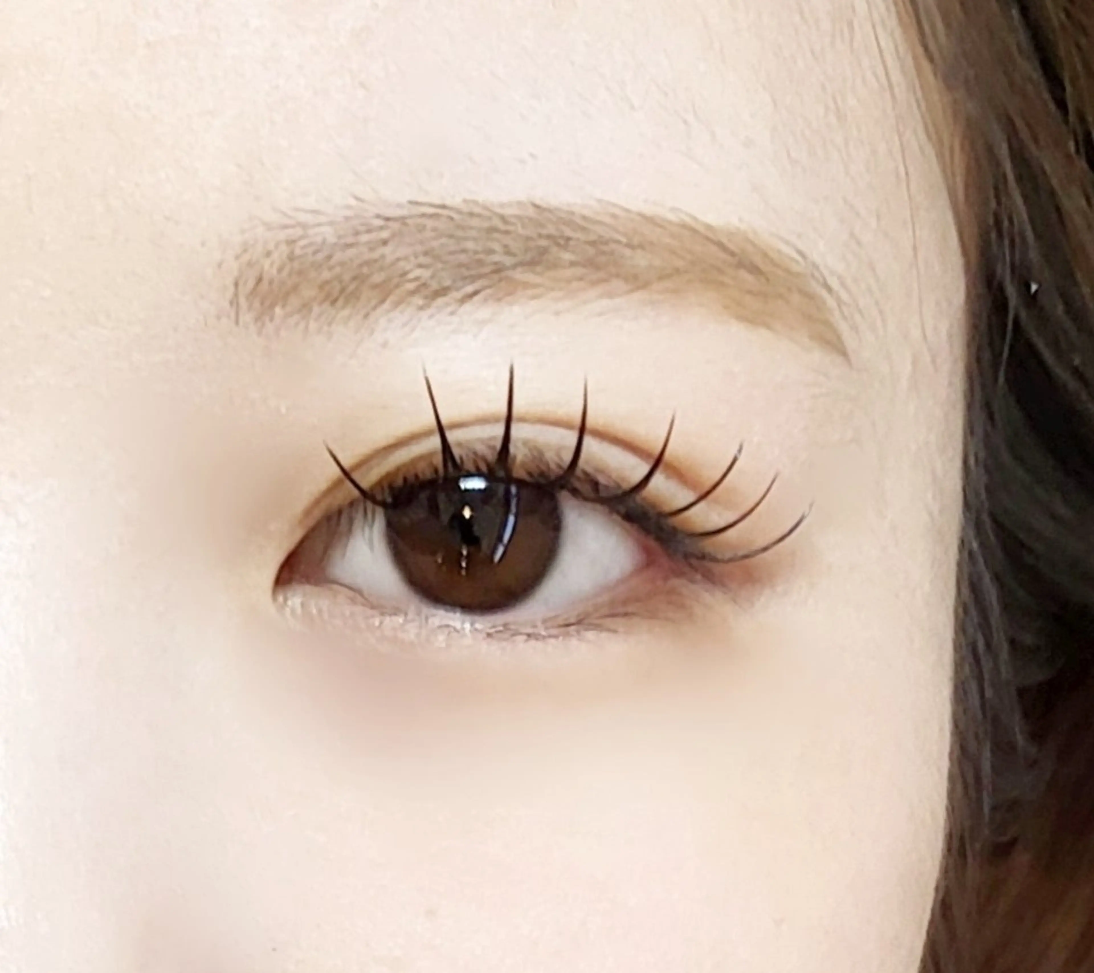 マツエク・マツパ 束感まつ毛 マツエク eyelash R𓇼eri🐈️の眉毛・アイブロウイメージ