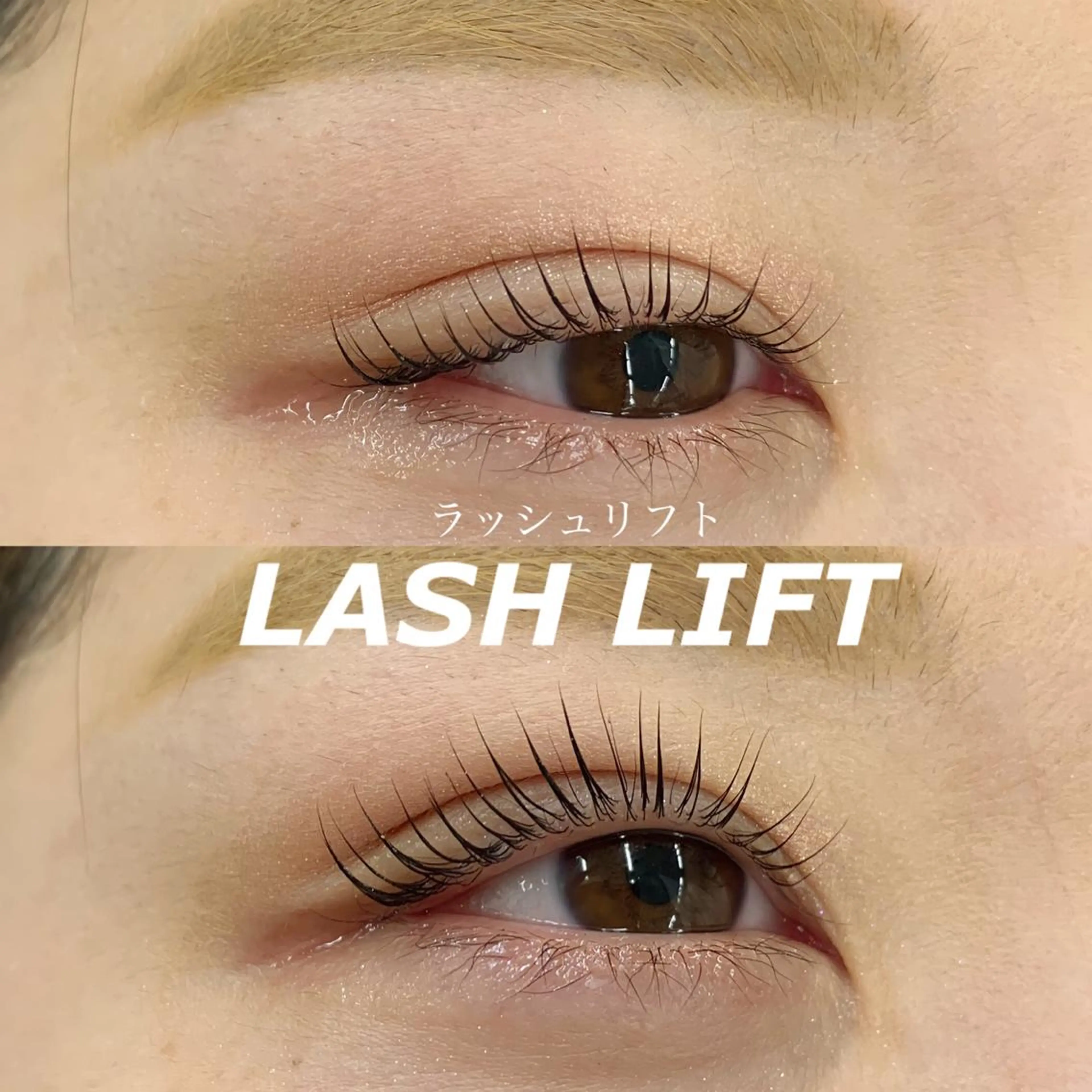 【次世代パリジェンヌラッシュリフト】高濃度ﾄﾘｰﾄﾒﾝﾄ/ｺｰﾃｨﾝｸﾞ付き🌼の写真