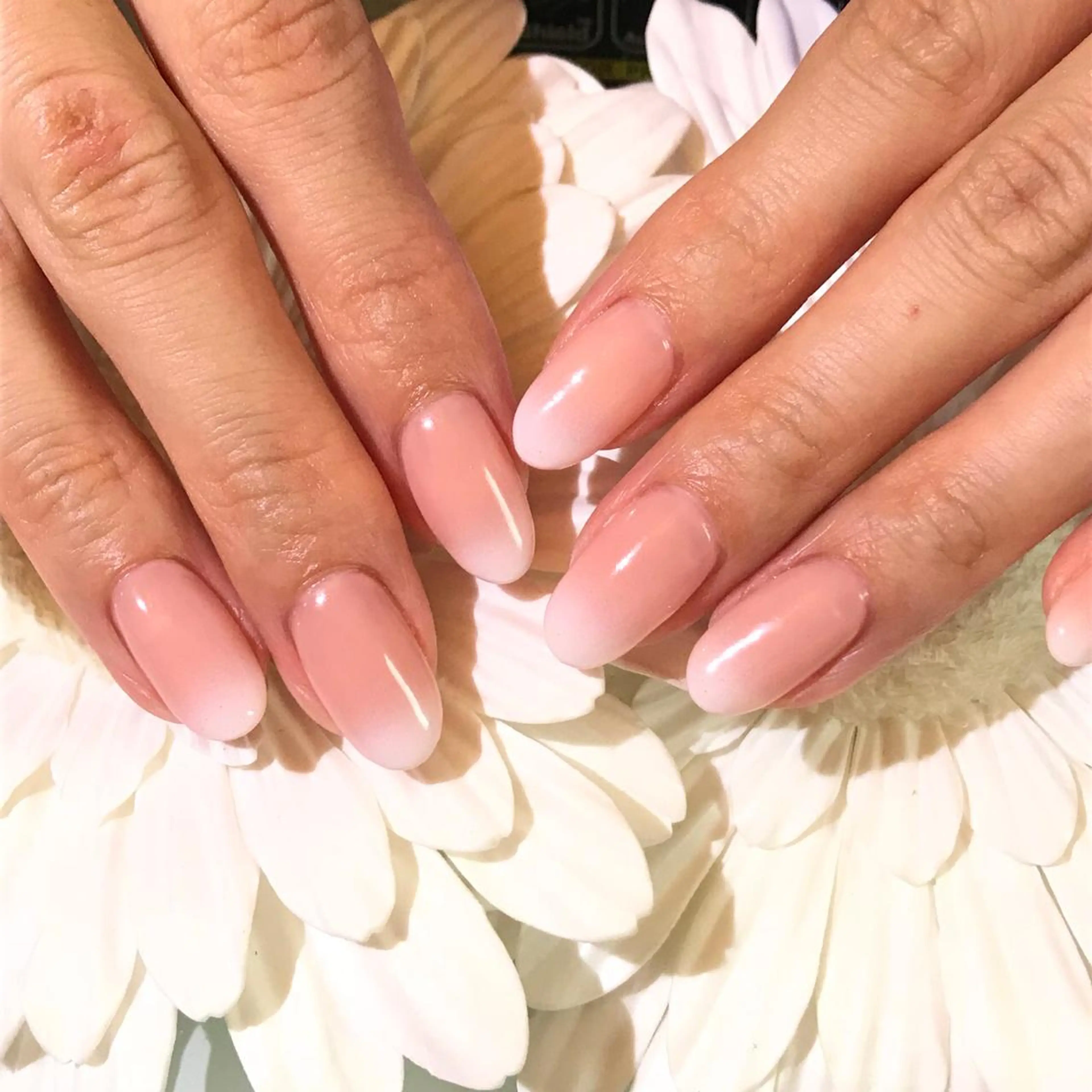 ネイル グラデーション Yakko pas á pasのネイルデザイン