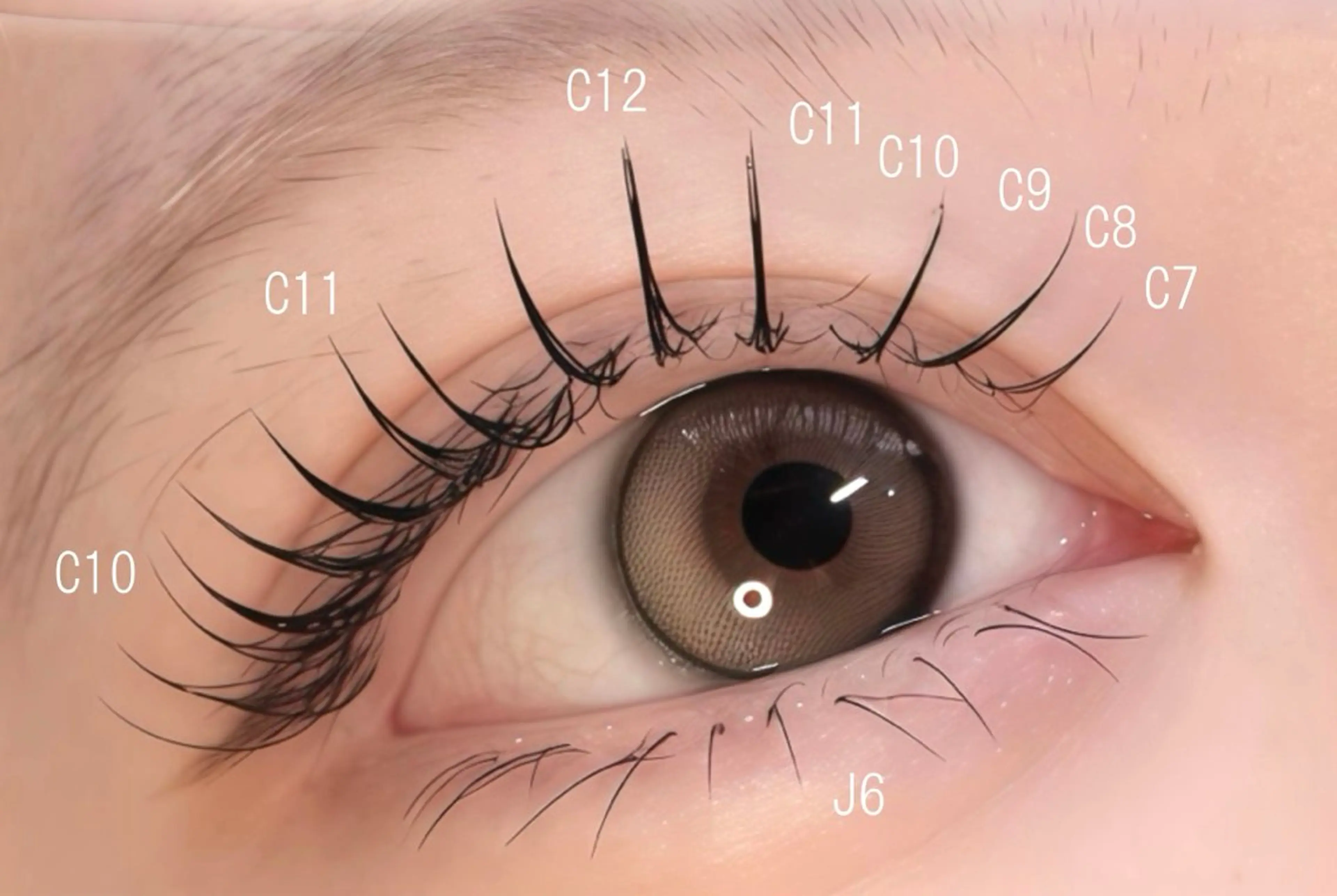 【上下フラットラッシュ】オフ込み/上120本まで/下30本の写真