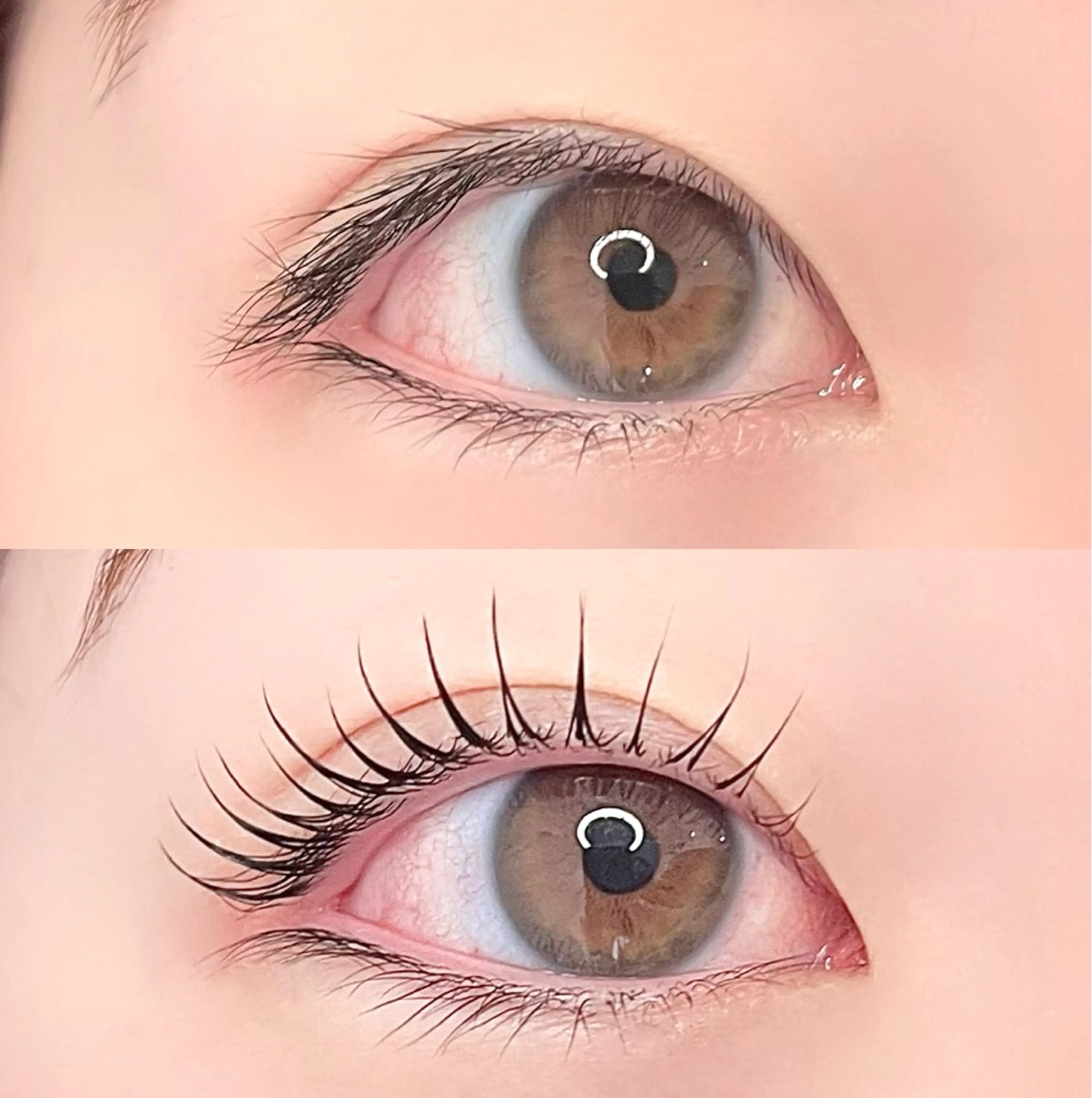 マツエク・マツパ ナチュラル 一重×まつ毛パーマ 長尾 桃果 🫧 eyelistの眉毛・アイブロウイメージ