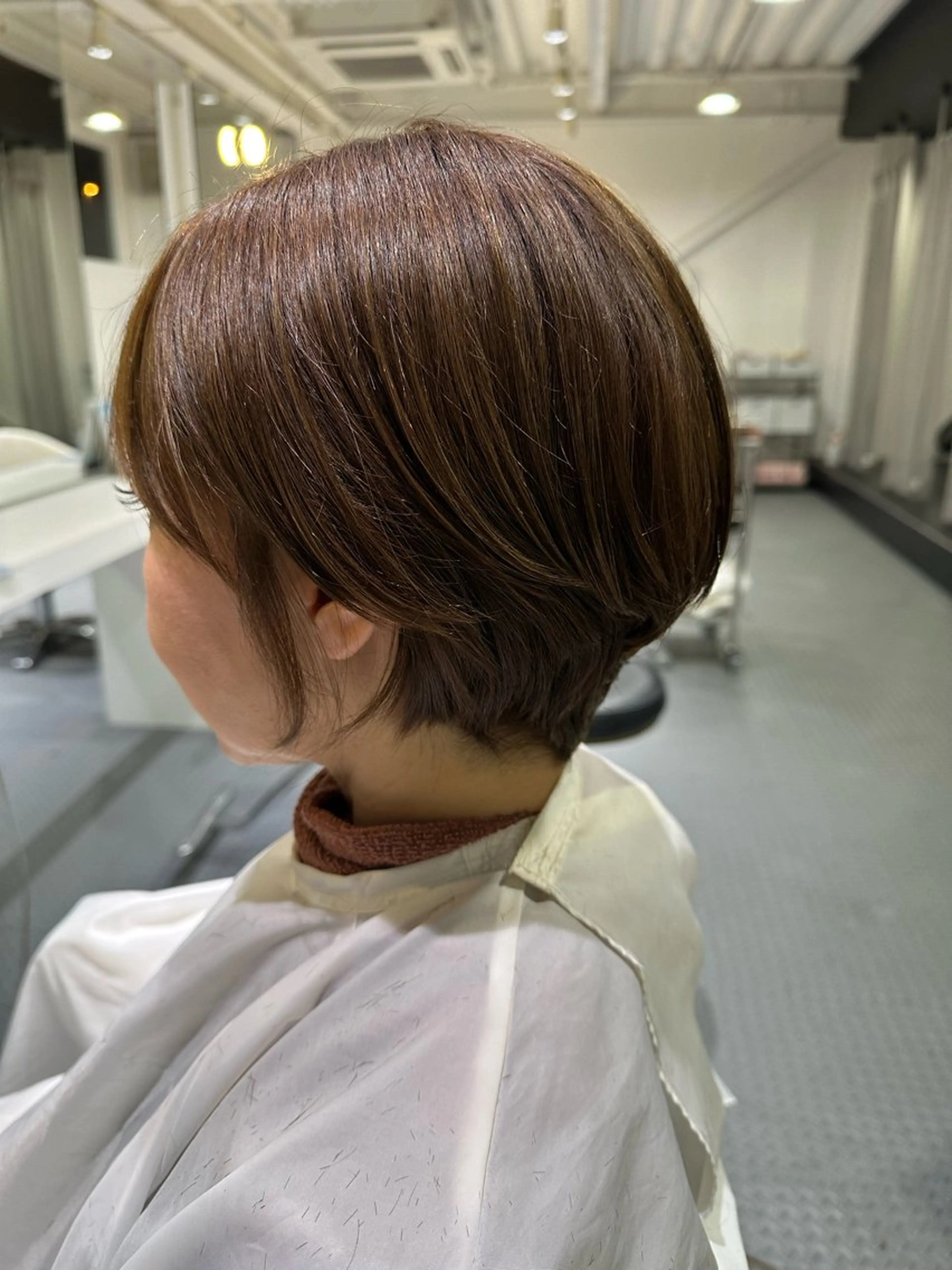 カラー（ワンカラーのみ）の写真