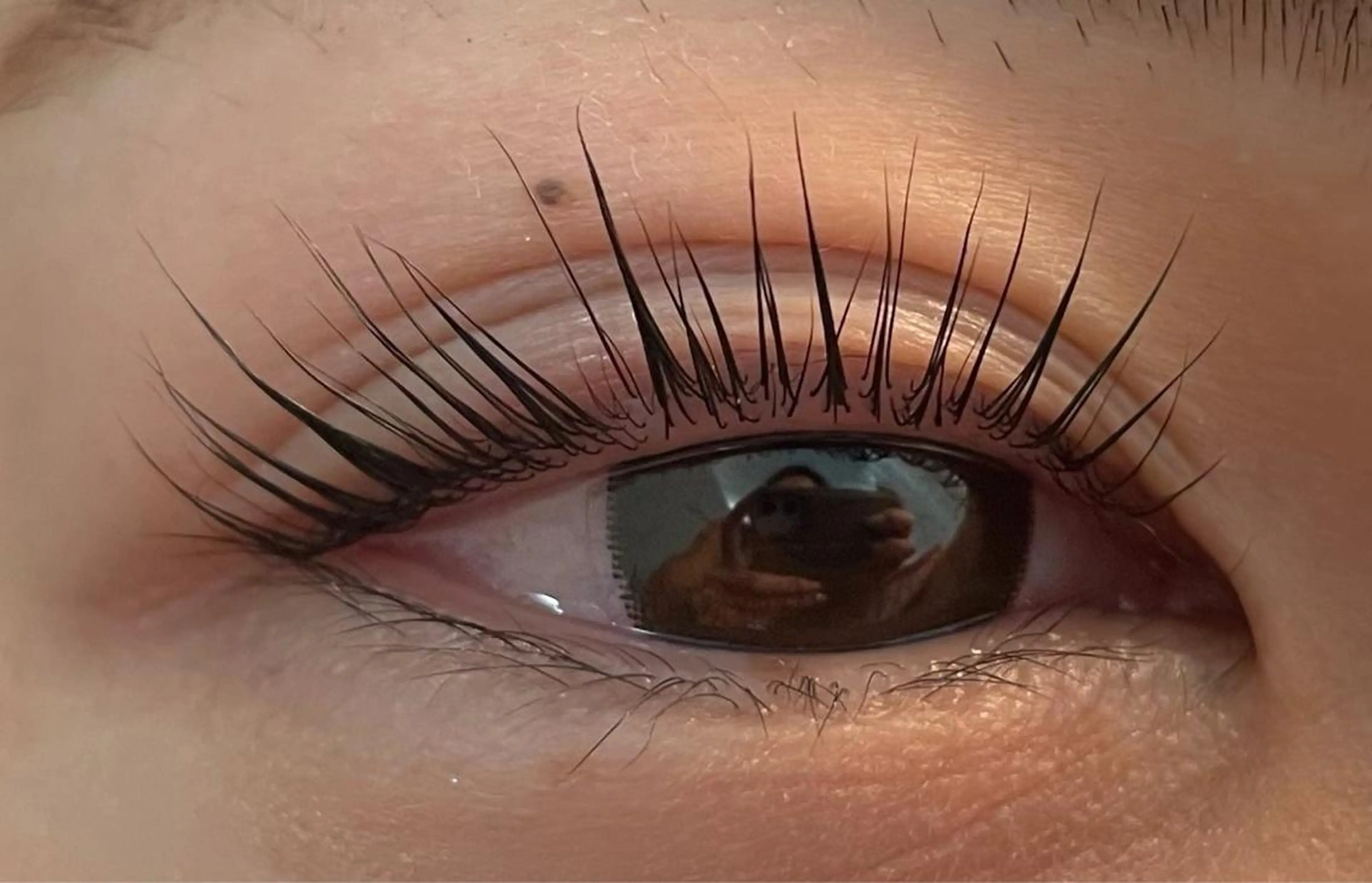 マツエク・マツパ eyelash  salon fまつエク・まつげパーマ【フランク】所属・eyelash f　香里園のマツエク・マツパデザイン