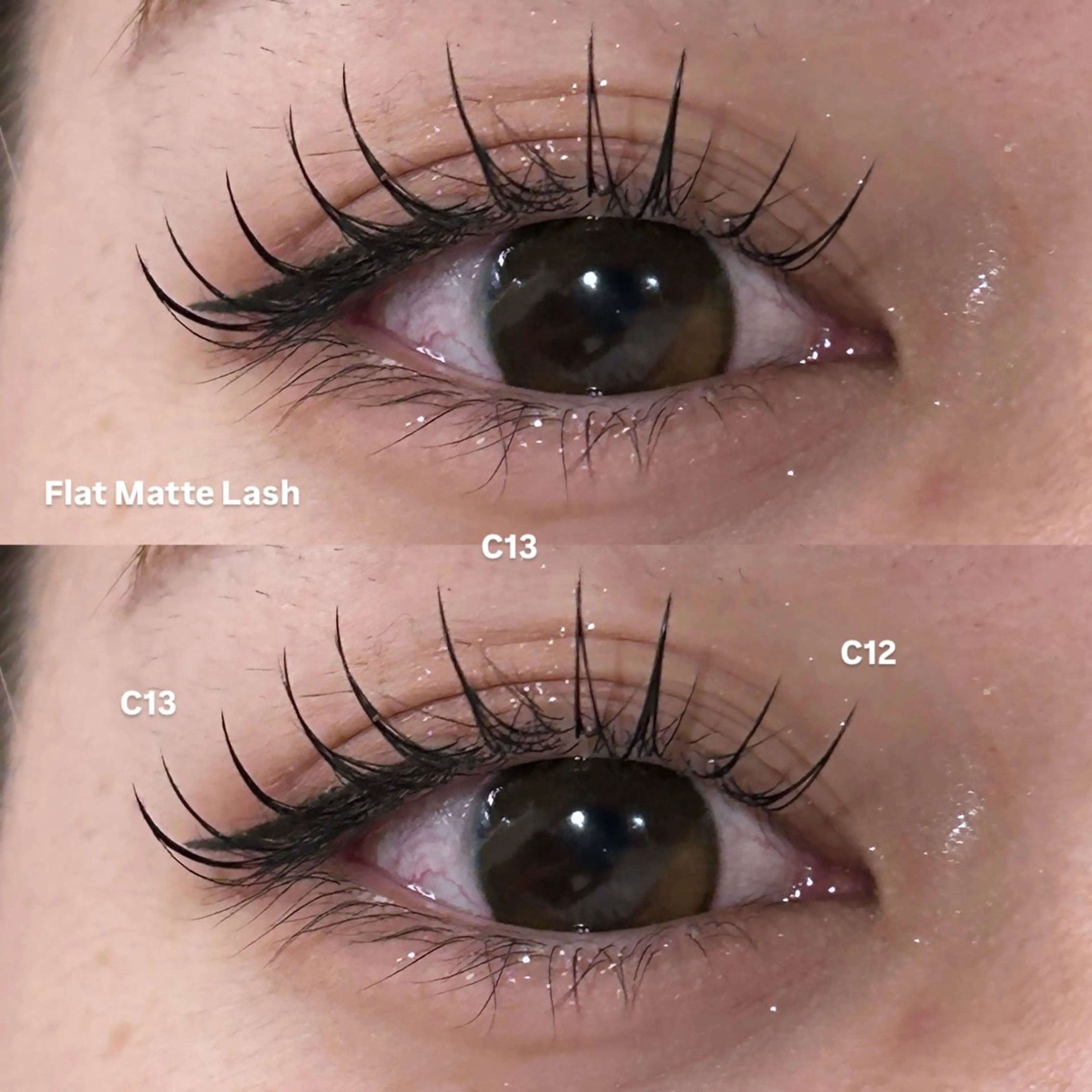 マツエク・マツパ マツエク 冬っぽカラー/ マツエク/ゆきなのマツエク・マツパデザイン