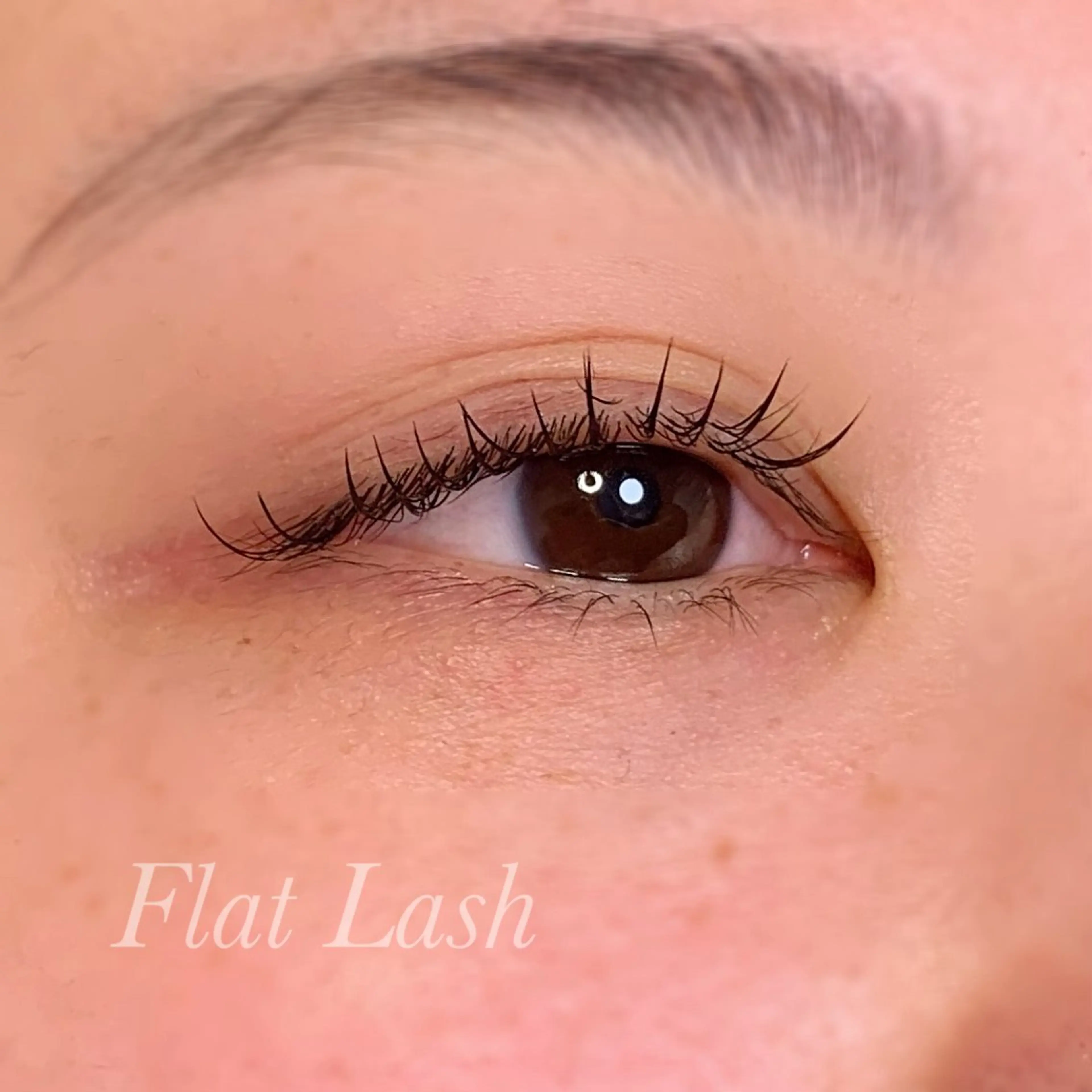 マツエク・マツパ Cカール フラットラッシュ マツエク Ayumi.pro 🍆N《4階》のマツエク・マツパデザイン