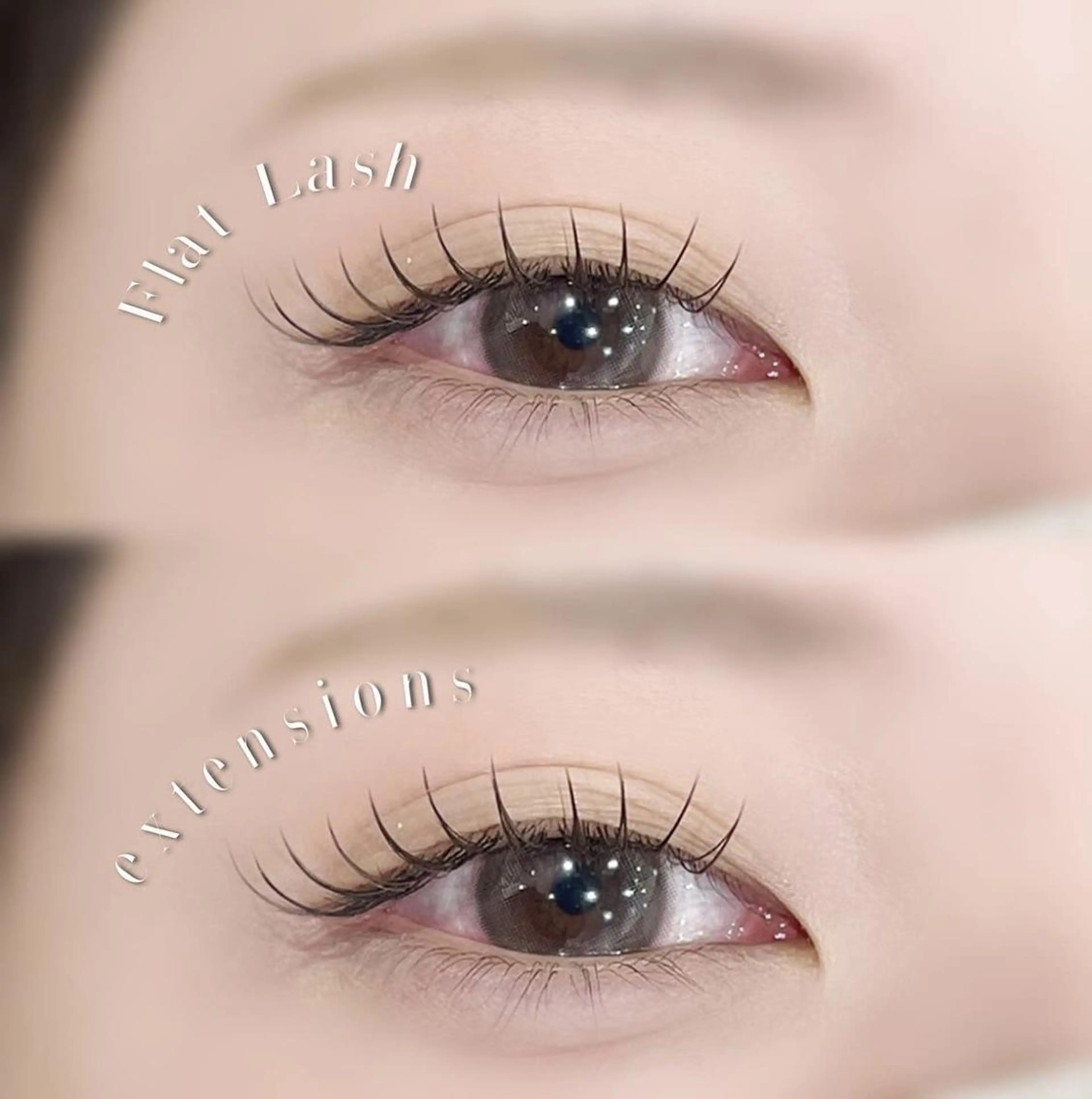 シングルフラットラッシュ120本まで(オフ有り)の写真