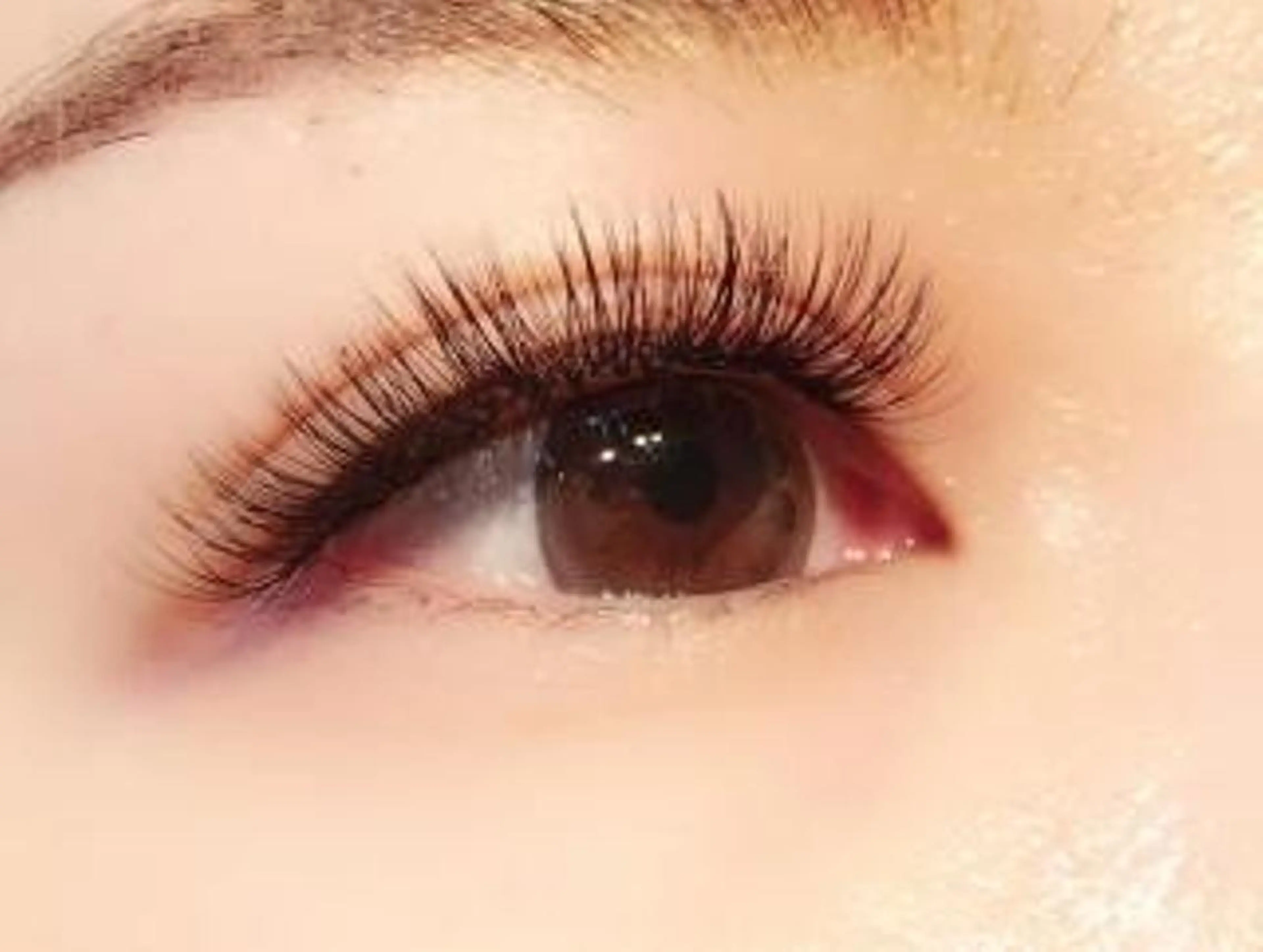 3D セーブルボリュームラッシュ 300本の写真