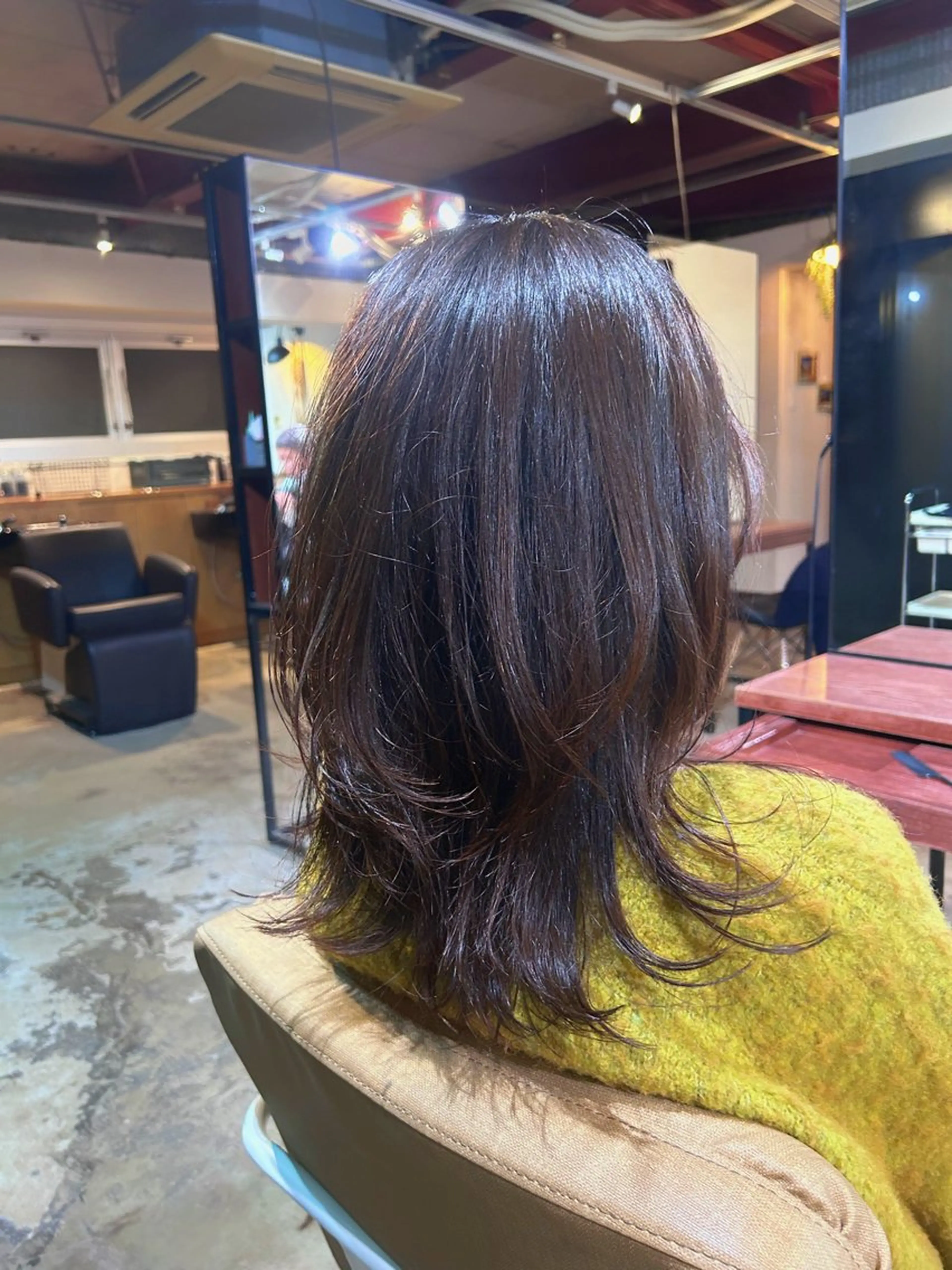 ロング ダブルカラー/ 透明感/SHISEIのヘアスタイル