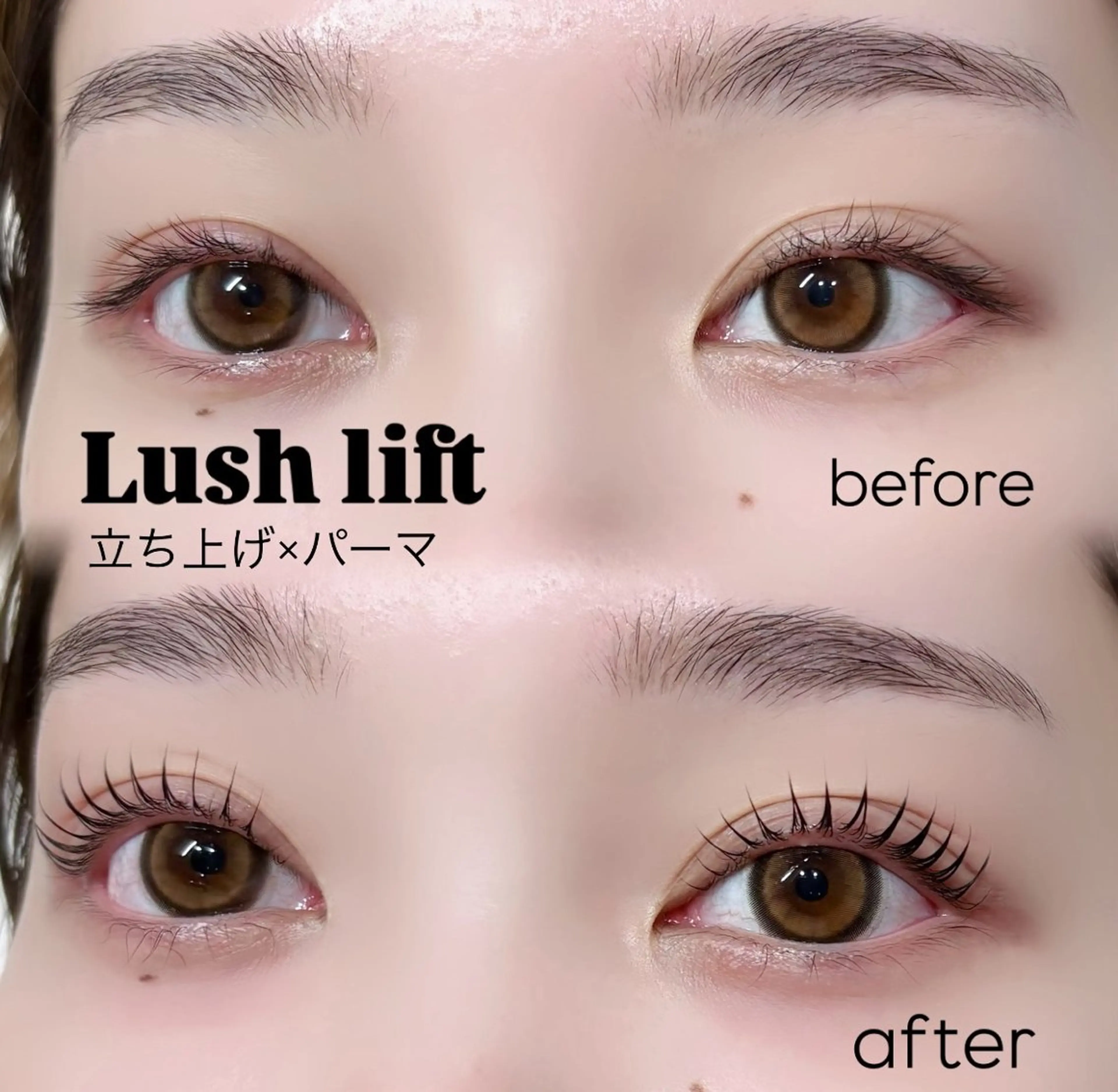 【限定価格💘】似合わせパーマの写真