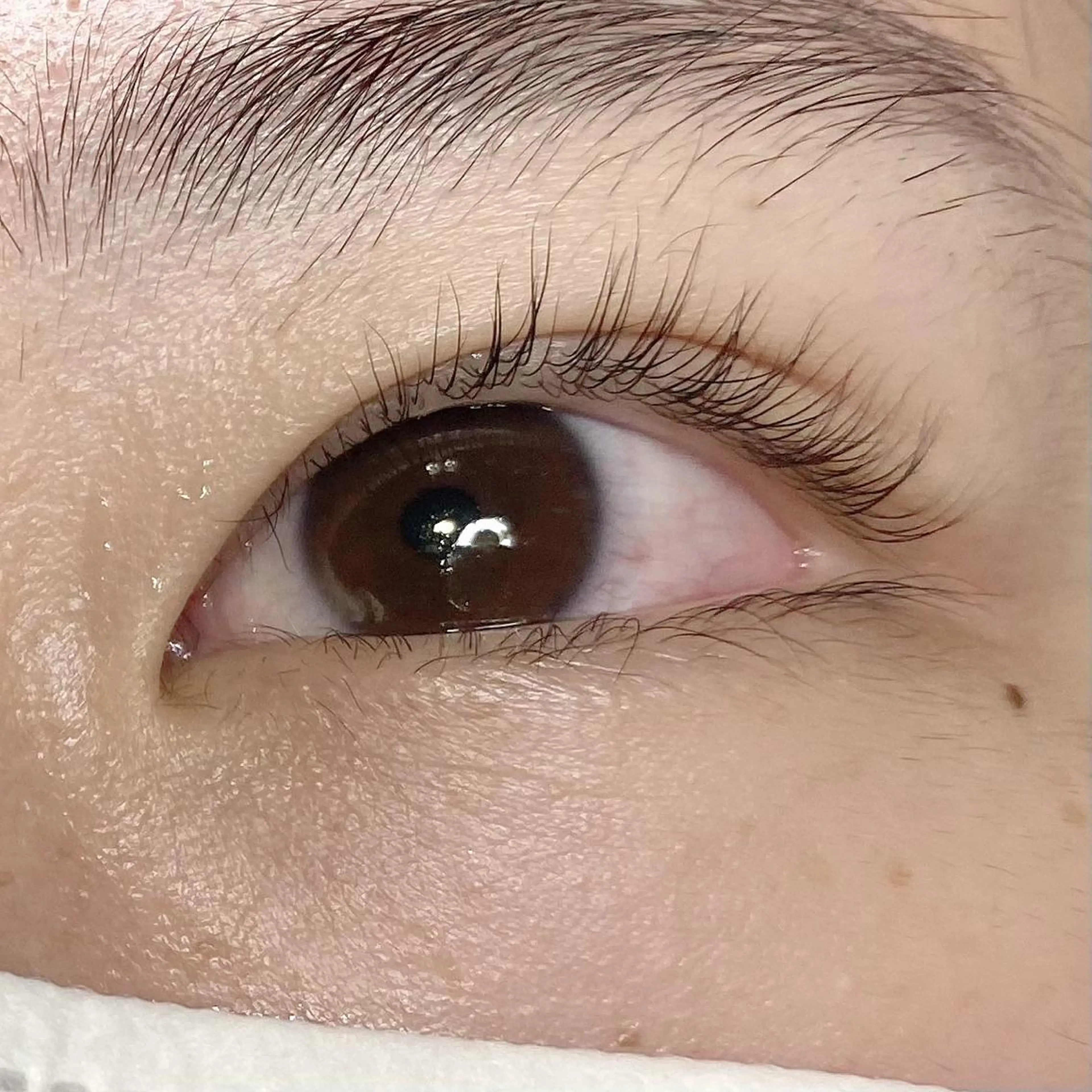 マツエク・マツパ ナチュラル マツパ ナオエ ハルカのマツエク・マツパデザイン