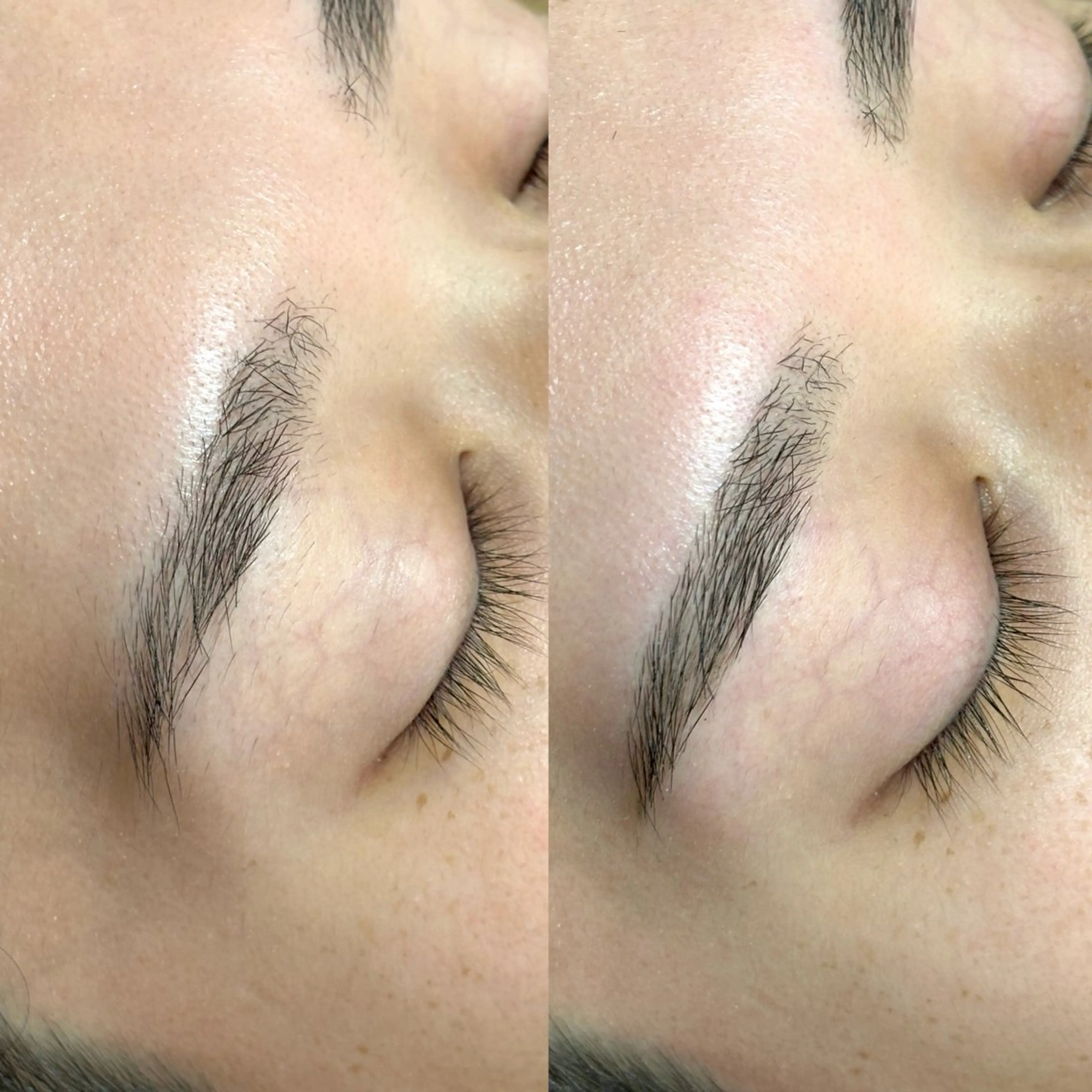 平日限定【メンズ】アイブロウスレッディングの写真