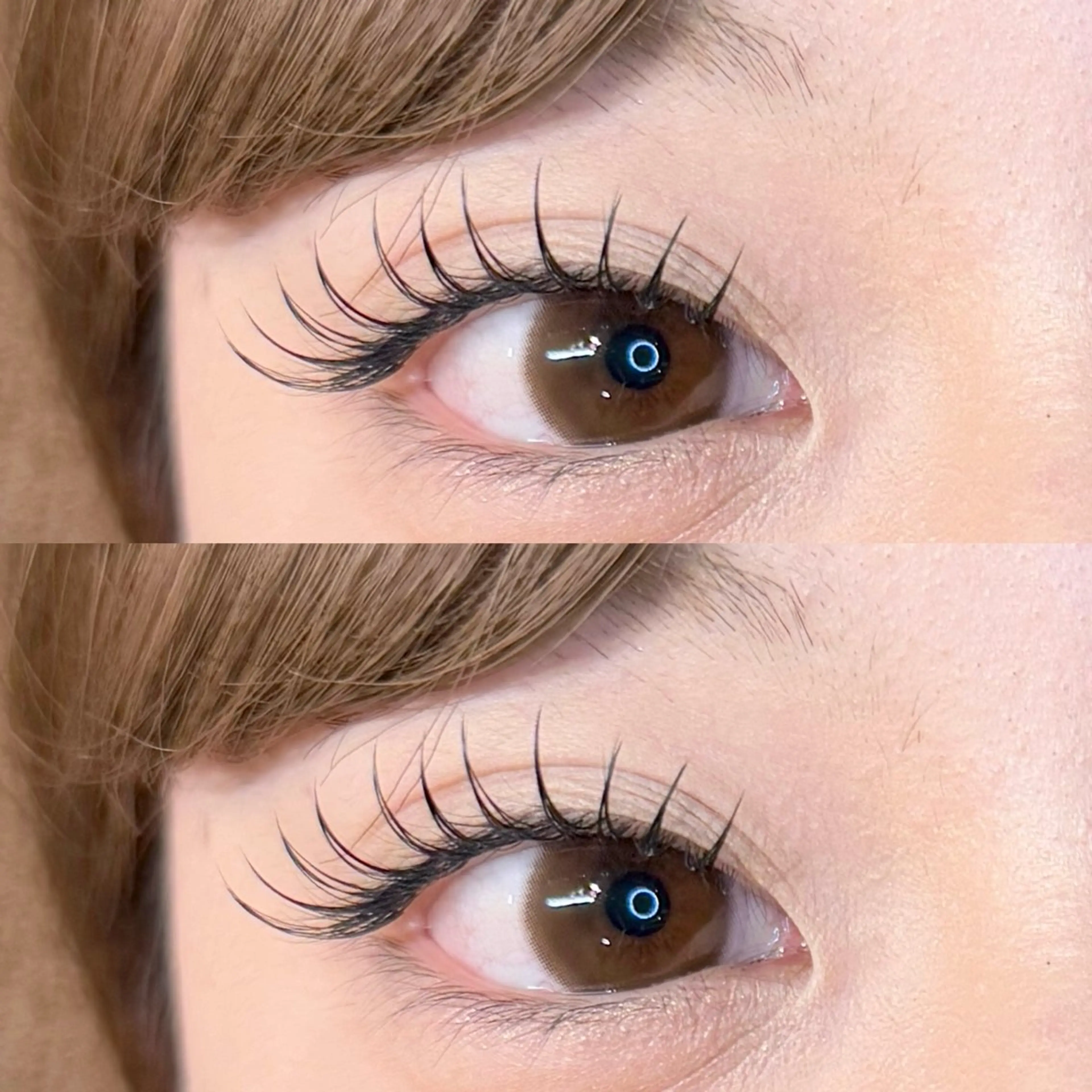 マツエク・マツパ マツエク Lily SHURIのマツエク・マツパデザイン