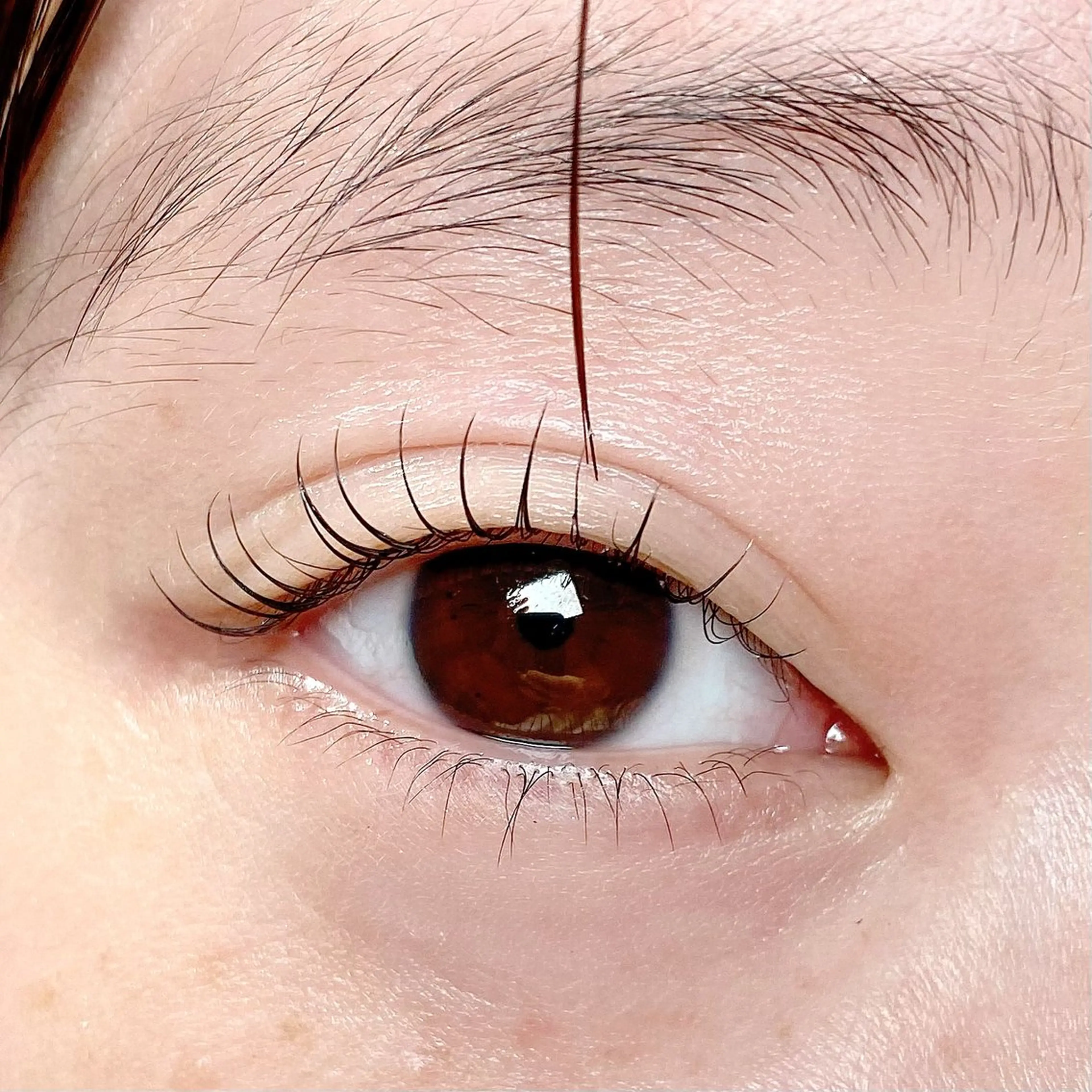 マツエク・マツパ 束感まつ毛 フラットラッシュ パリジェンヌラッシュリフト 下まつげエクステ 一重×まつ毛パーマ マツパ パリジェンヌ上下 恵比寿ayakaのマツエク・マツパデザイン