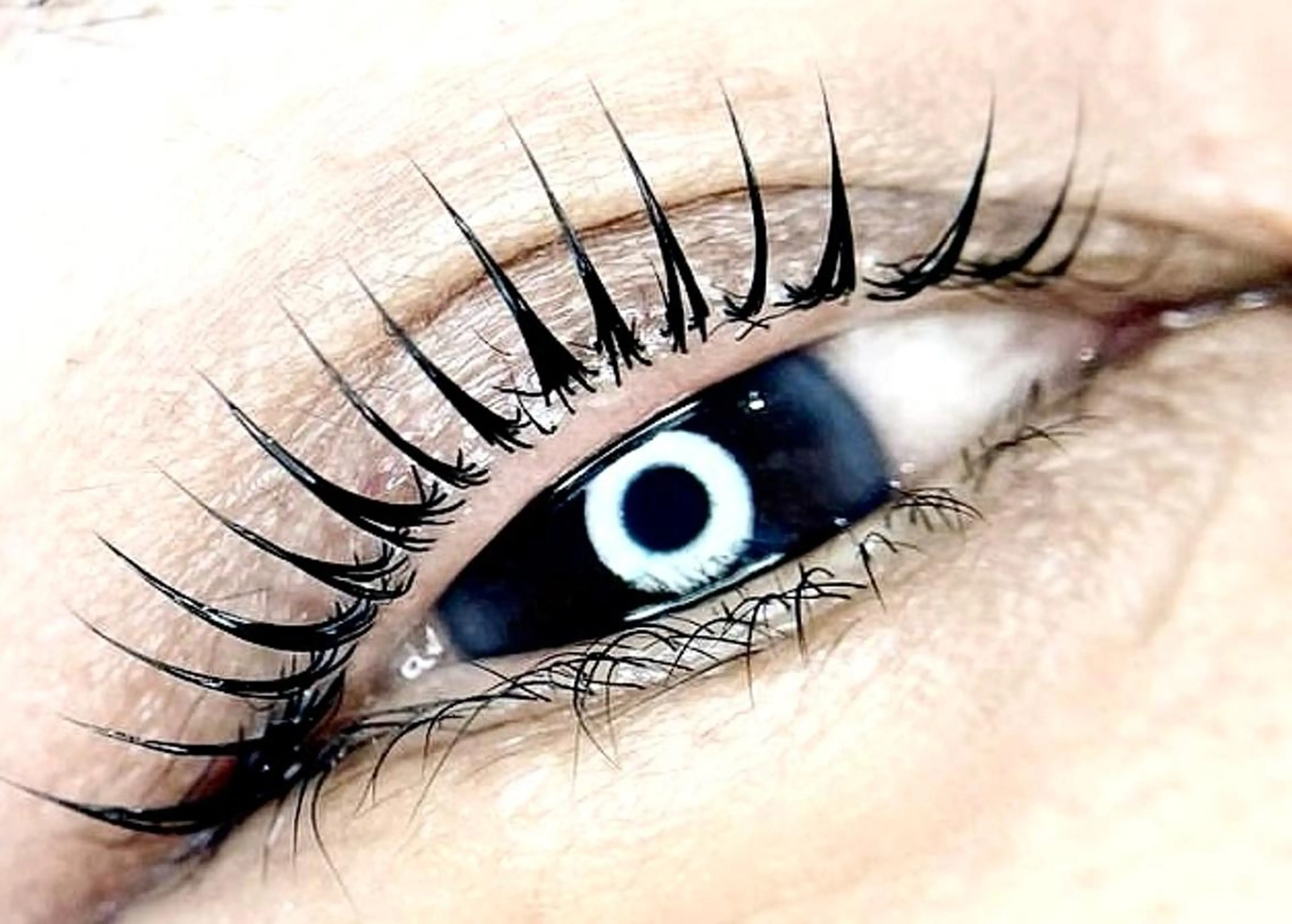 ✨認定店パリジェンヌラッシュリフト✨+ケラチントリートメント（お写真、動画撮影SNS投稿許可頂きます）の写真