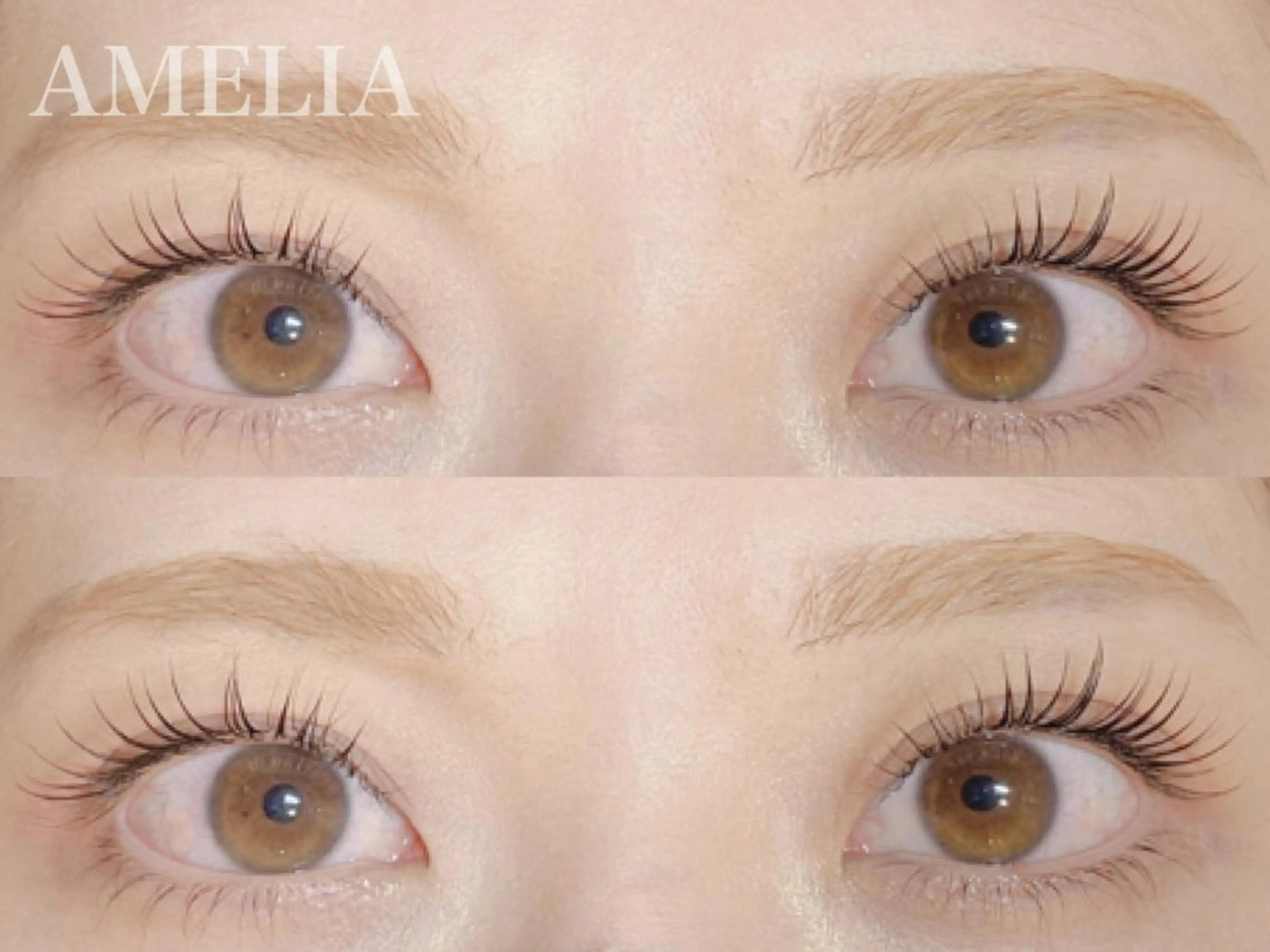 マツエク・マツパ まつげパーマ AMELIA Rikakoのマツエク・マツパデザイン