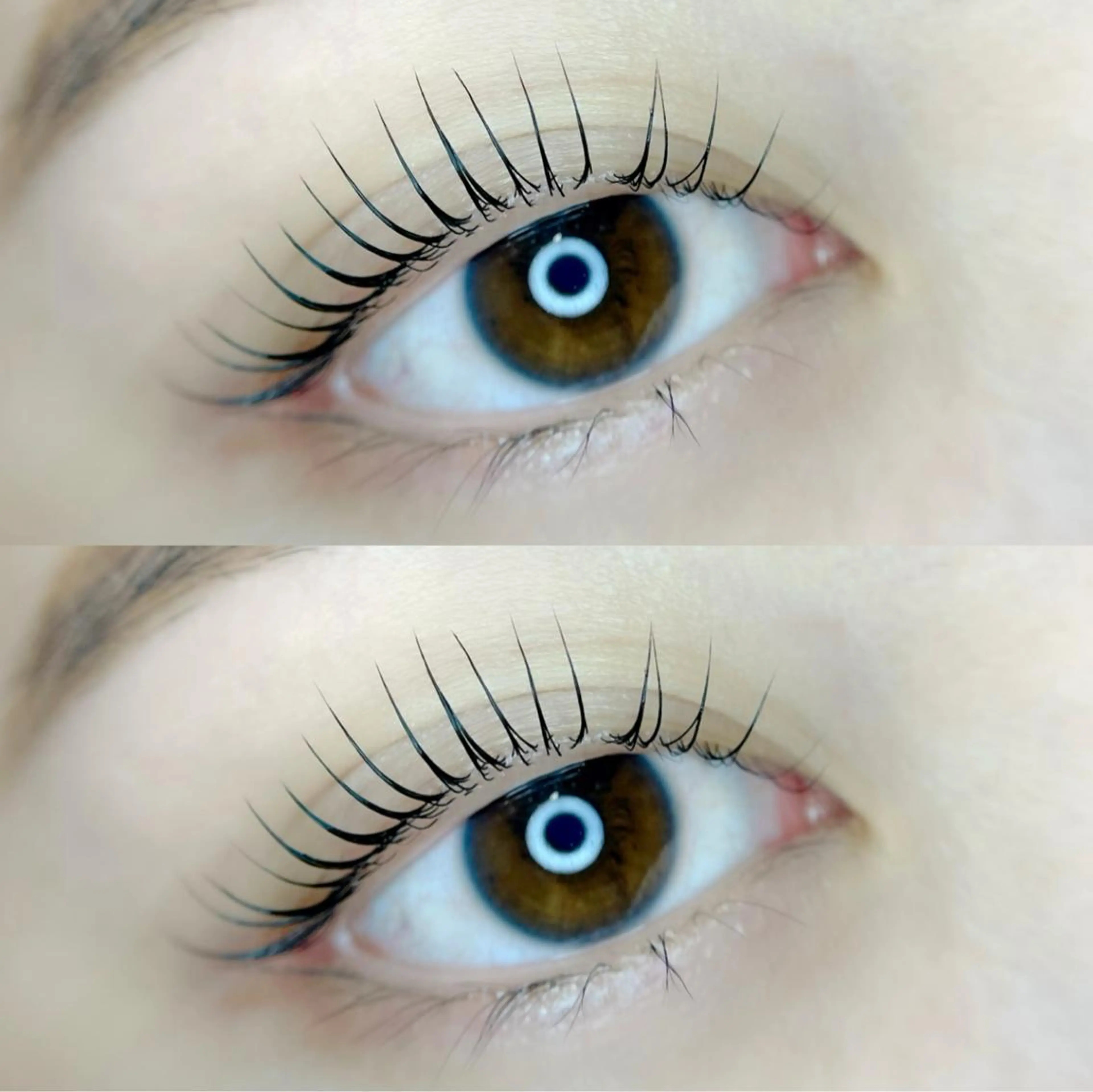 マツエク・マツパ mignon /まつげパーマ/眉毛のエステ・リラクイメージ