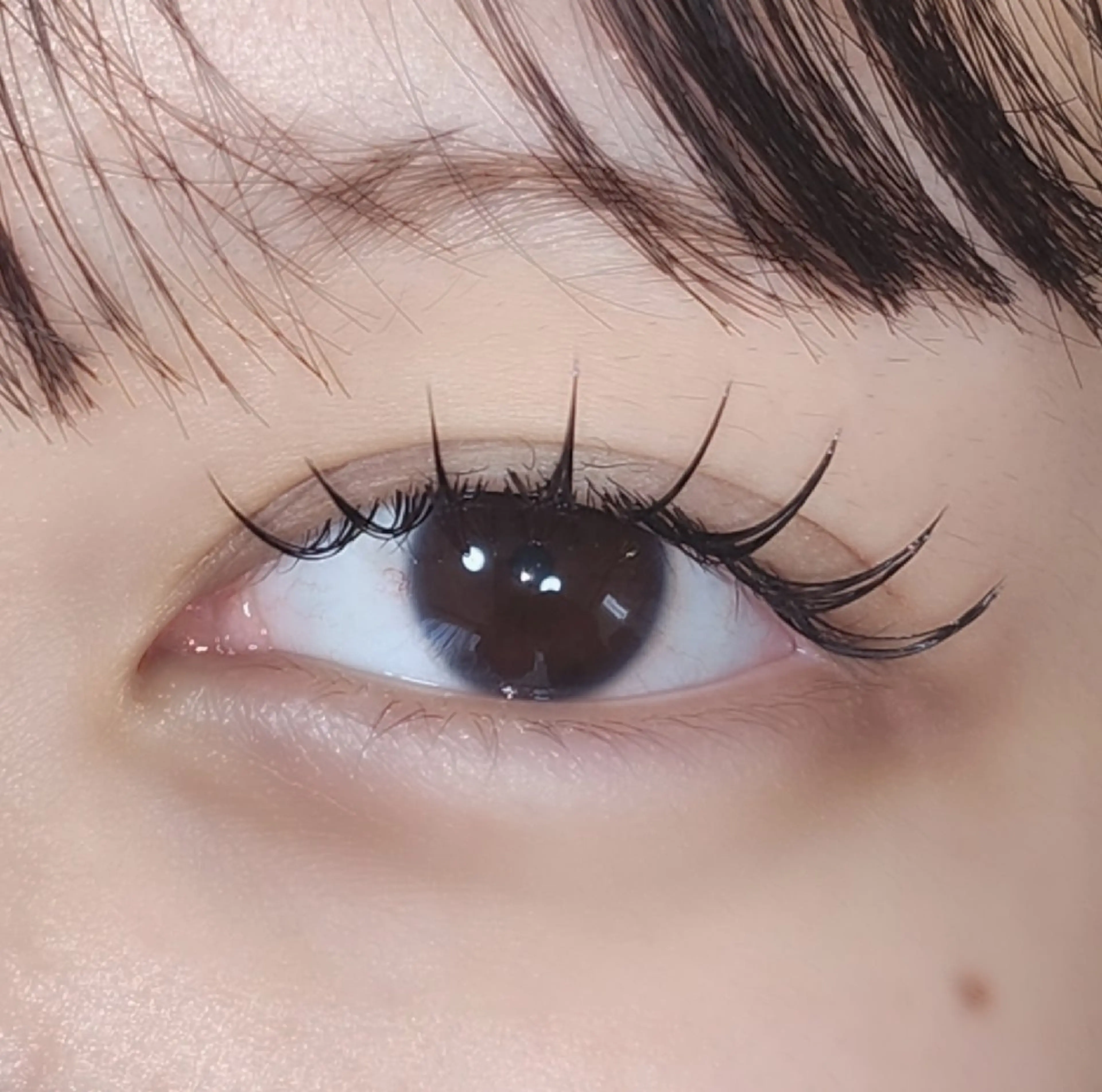 🎀LED付き60分付け放題🎀           ✨フラットラッシュ✨    オフなしの写真