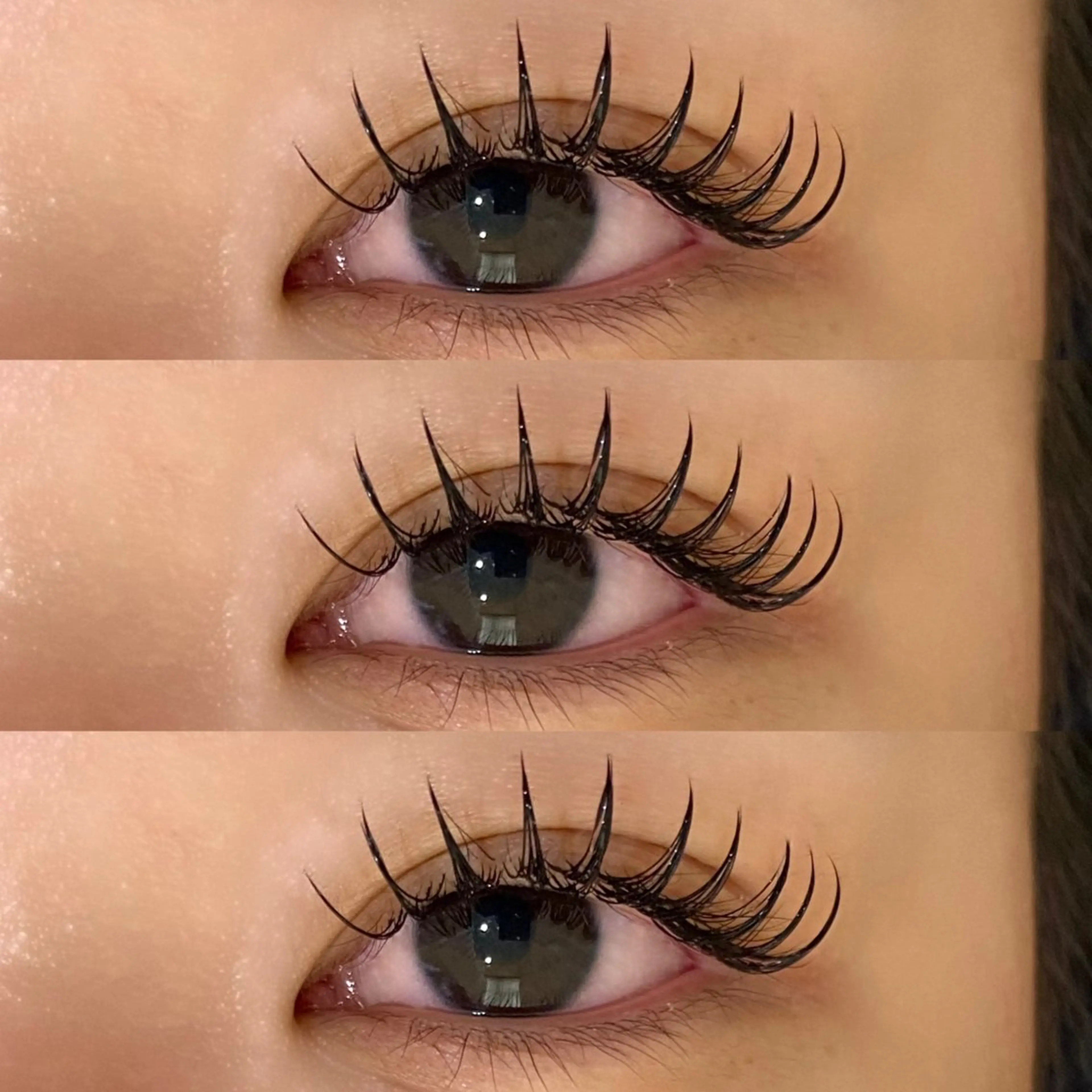 フラットラッシュ140本の写真