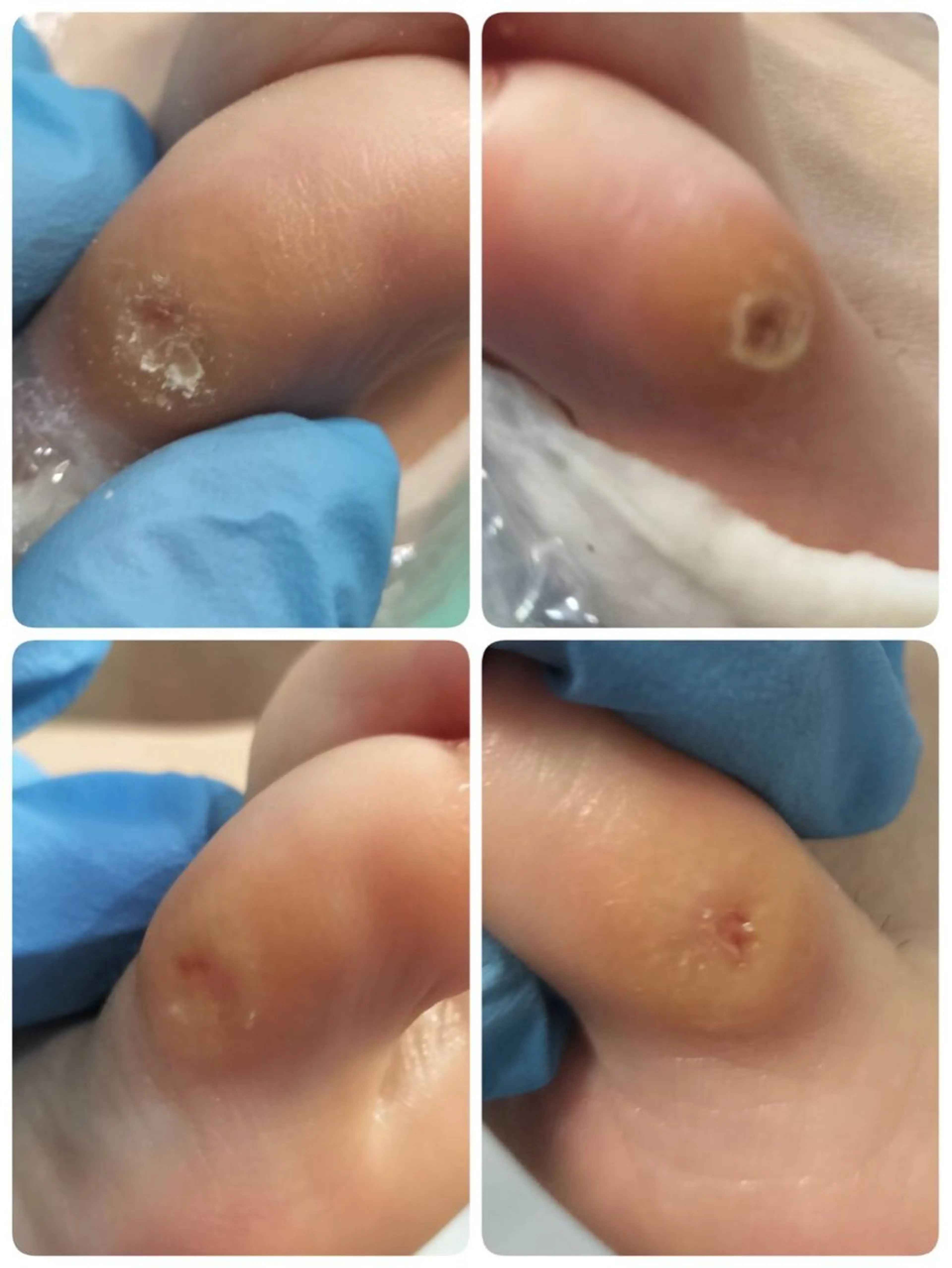 その他(ネイル) e.nail所属・和賀井 恵理のネイルデザイン