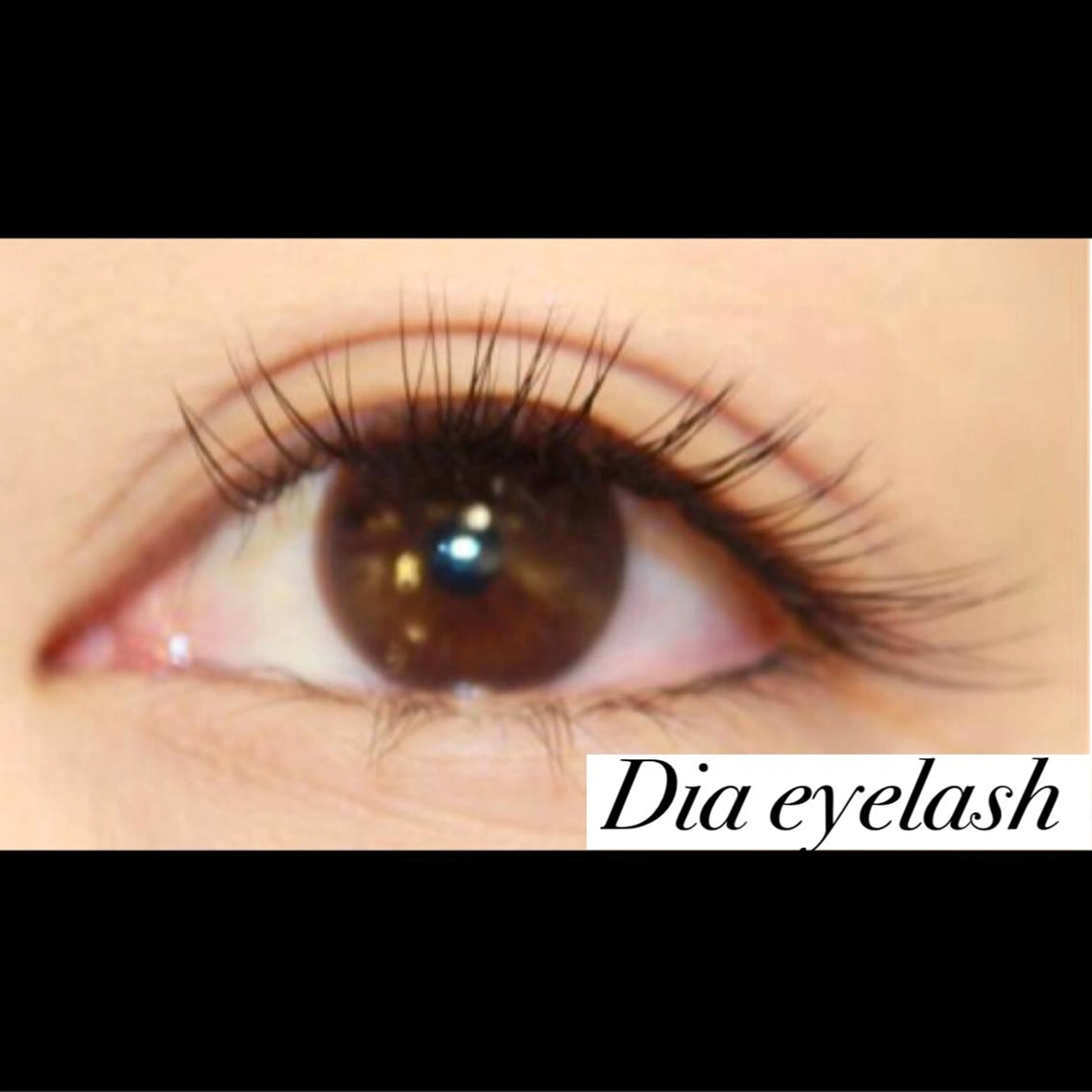 ネイル マツエク・マツパ 付け放題 Dカール セーブル マツエク nashira -ナシラ- 恵比寿のマツエク・マツパデザイン