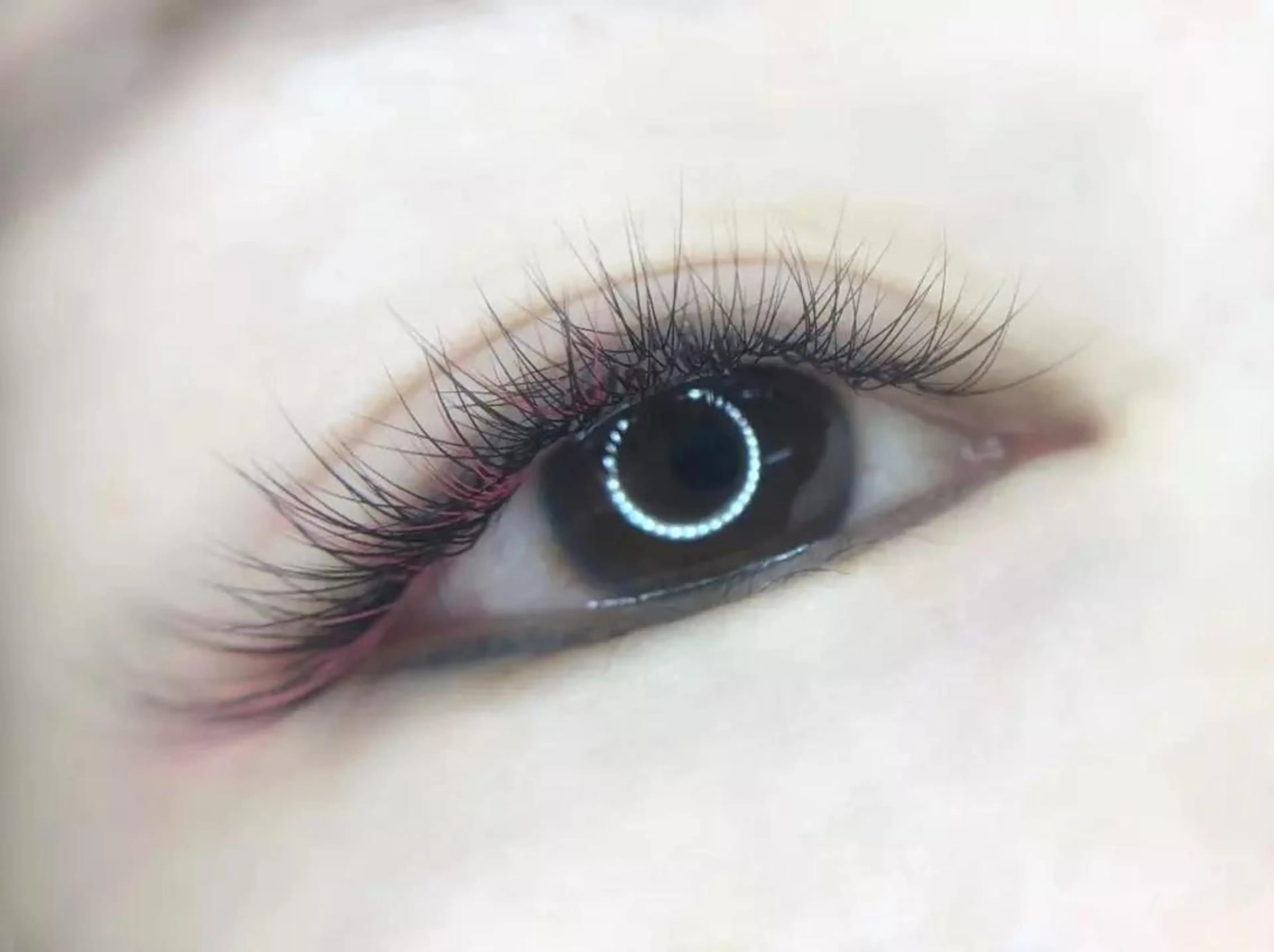 マツエク・マツパ Cute beauty2のマツエク・マツパデザイン