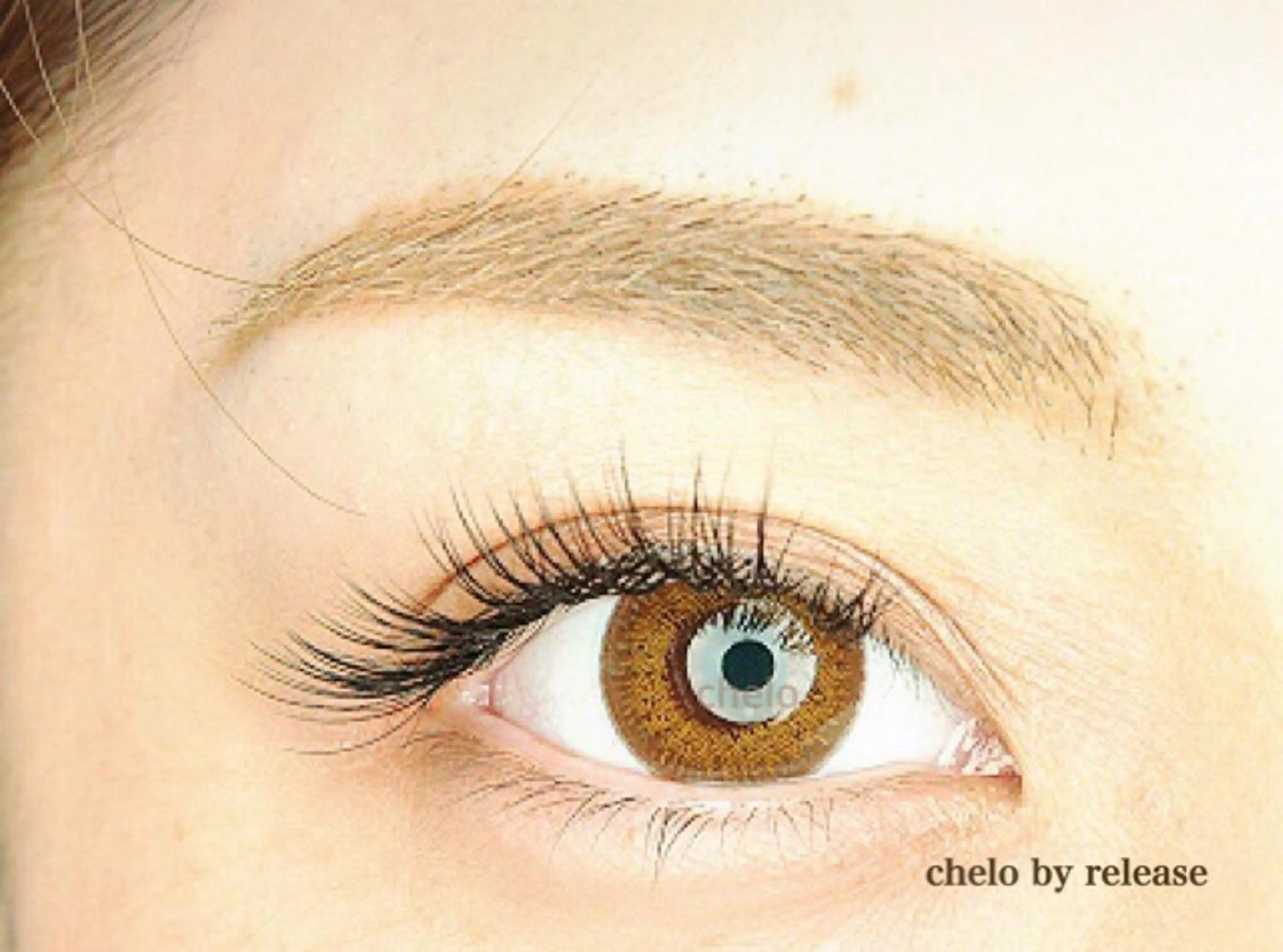 バインドロック×ボリュームラッシュMIX80束の写真