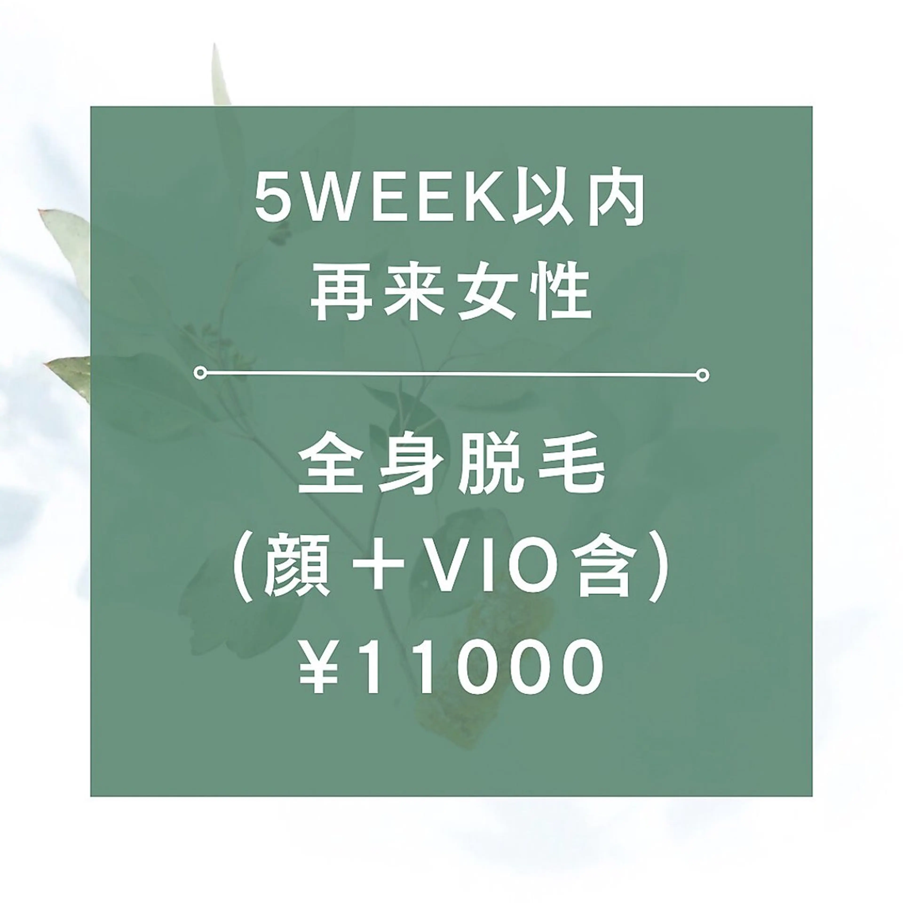 【1ヶ月以内再来女性★☆全身脱毛（全顔+VIO含）¥11000☆★105分の写真