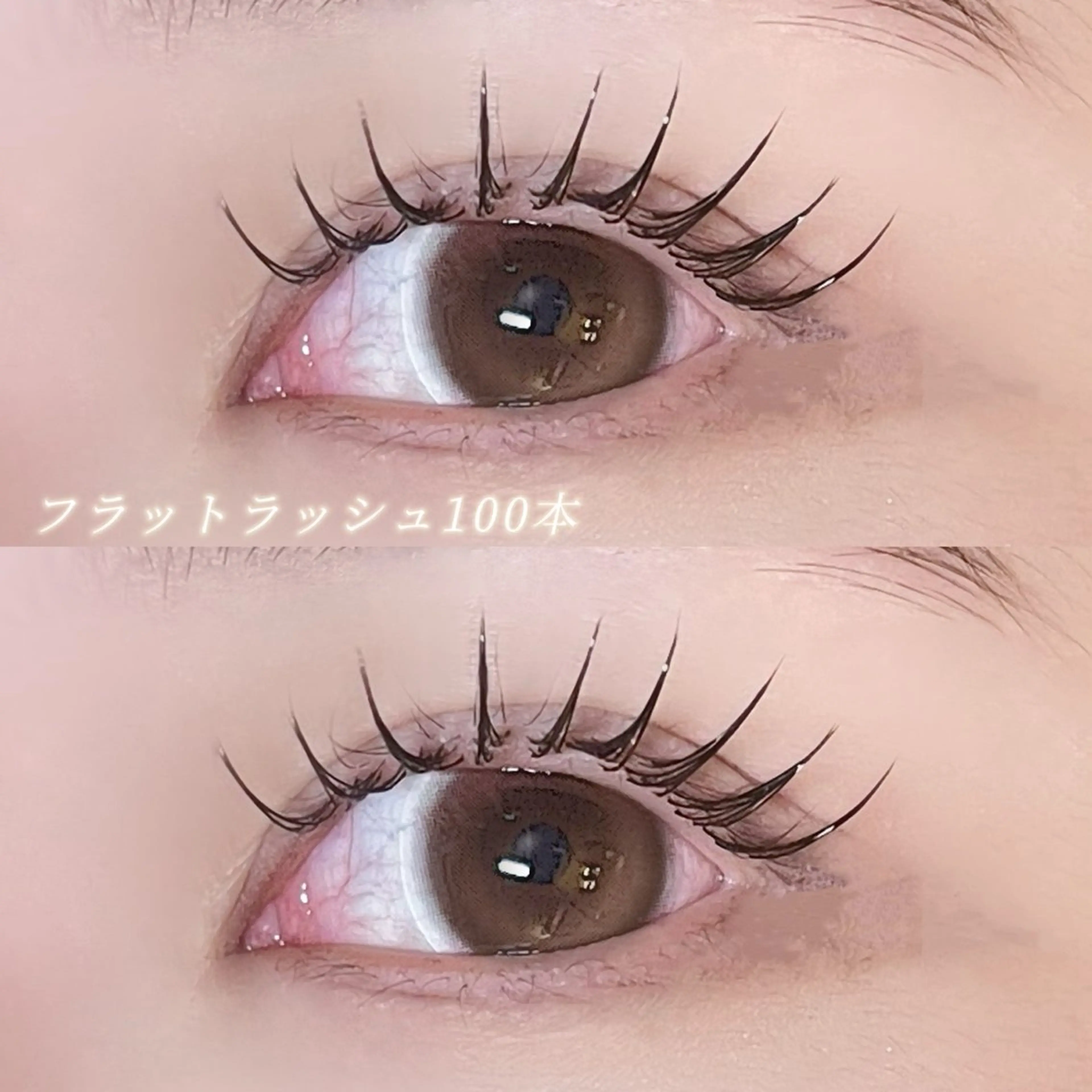 フラットラッシュ上100~140本⋆⸜🎀⸝‍⋆(Lカール変更可･本数により値段変動致します)の写真