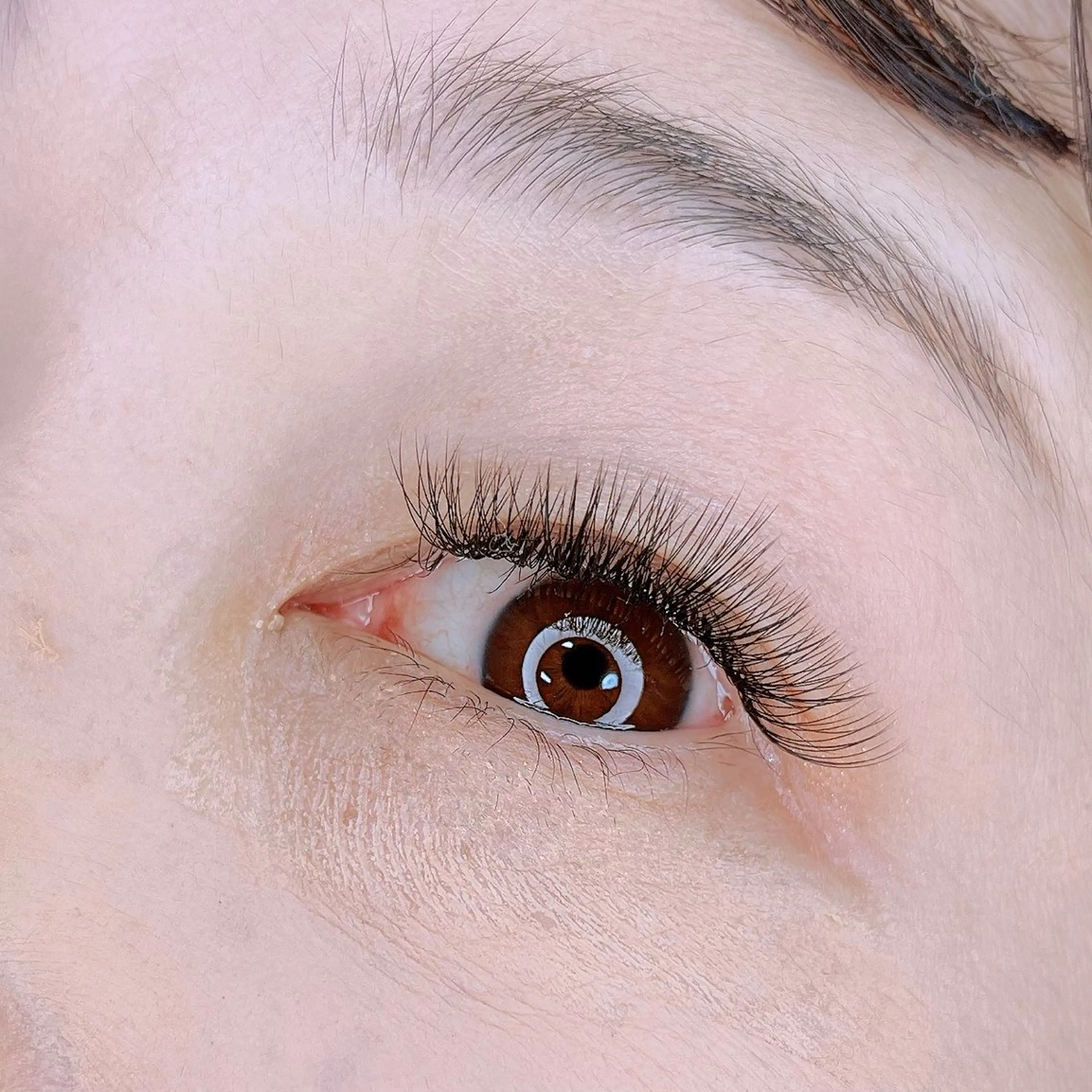 《8月限定》少ないまつ毛でお悩みの方へ！ボリュームラッシュ100束(400本)11900→6900の写真