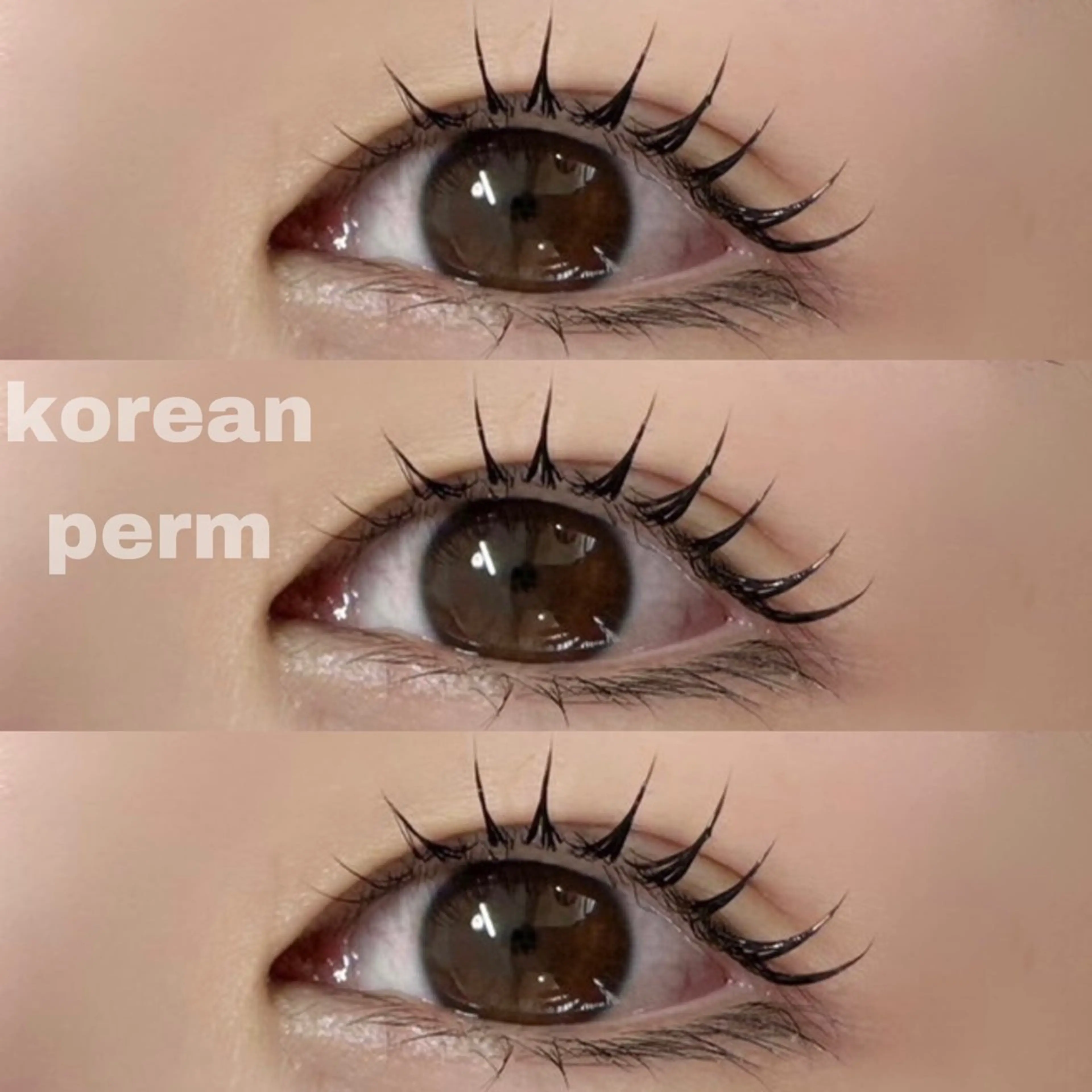 マツエク・マツパ 韓国風マツエク パリジェンヌラッシュリフト マツパ riah リアのマツエク・マツパデザイン