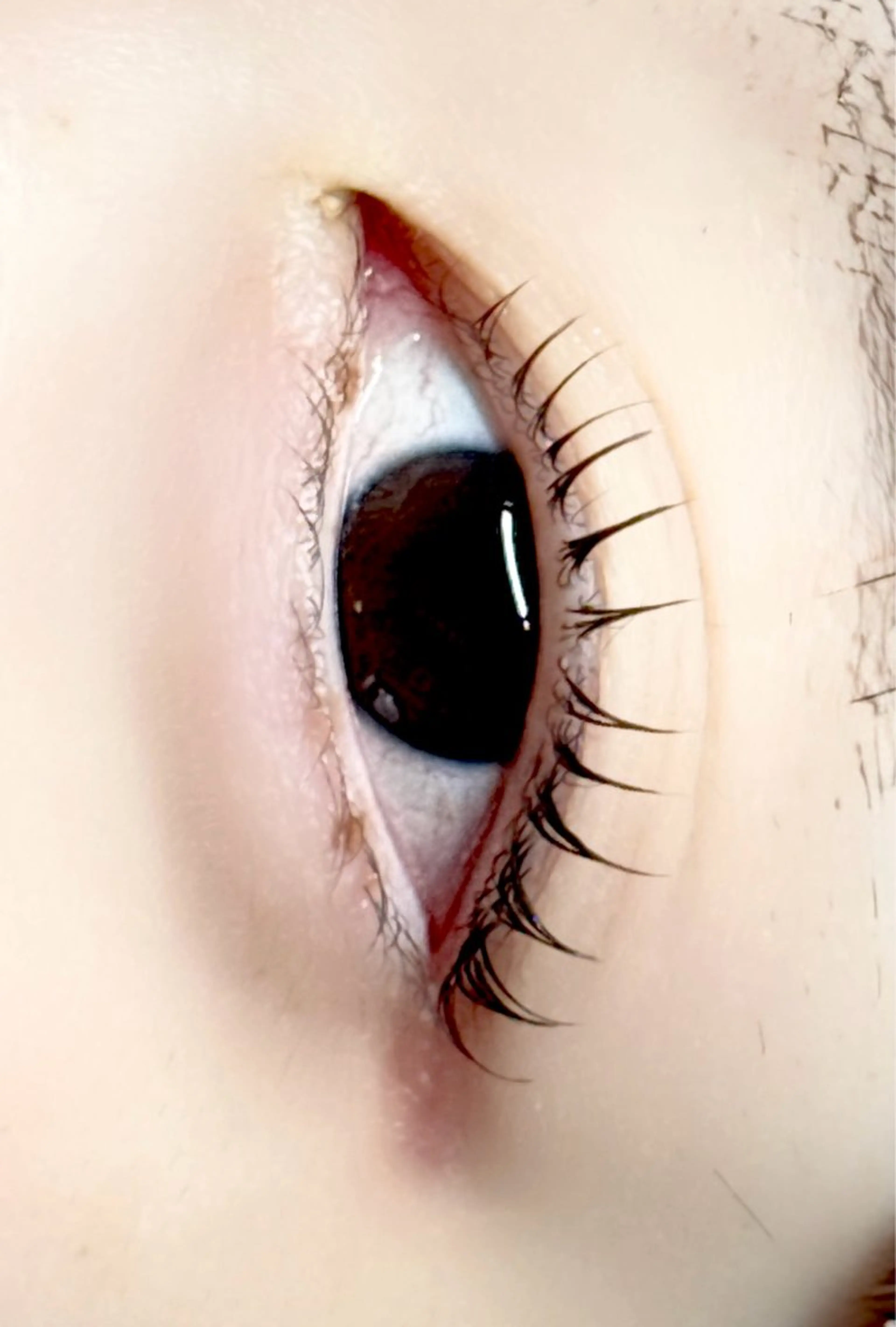 マツエク・マツパ Lafee de la beaute所属・Lafee de la beauteのマツエク・マツパデザイン