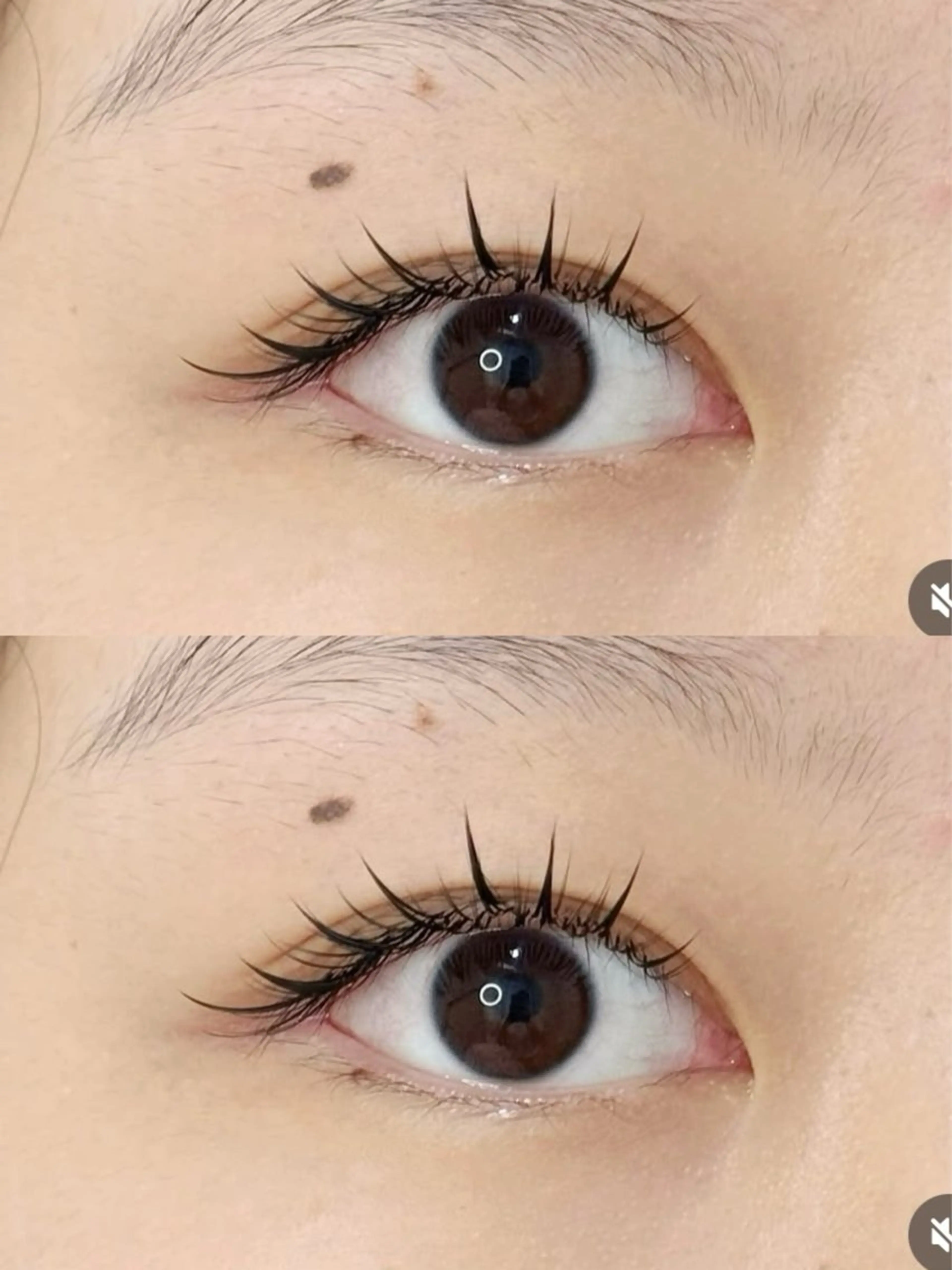 マツエク・マツパ パリエク専門店 FOIのマツエク・マツパデザイン