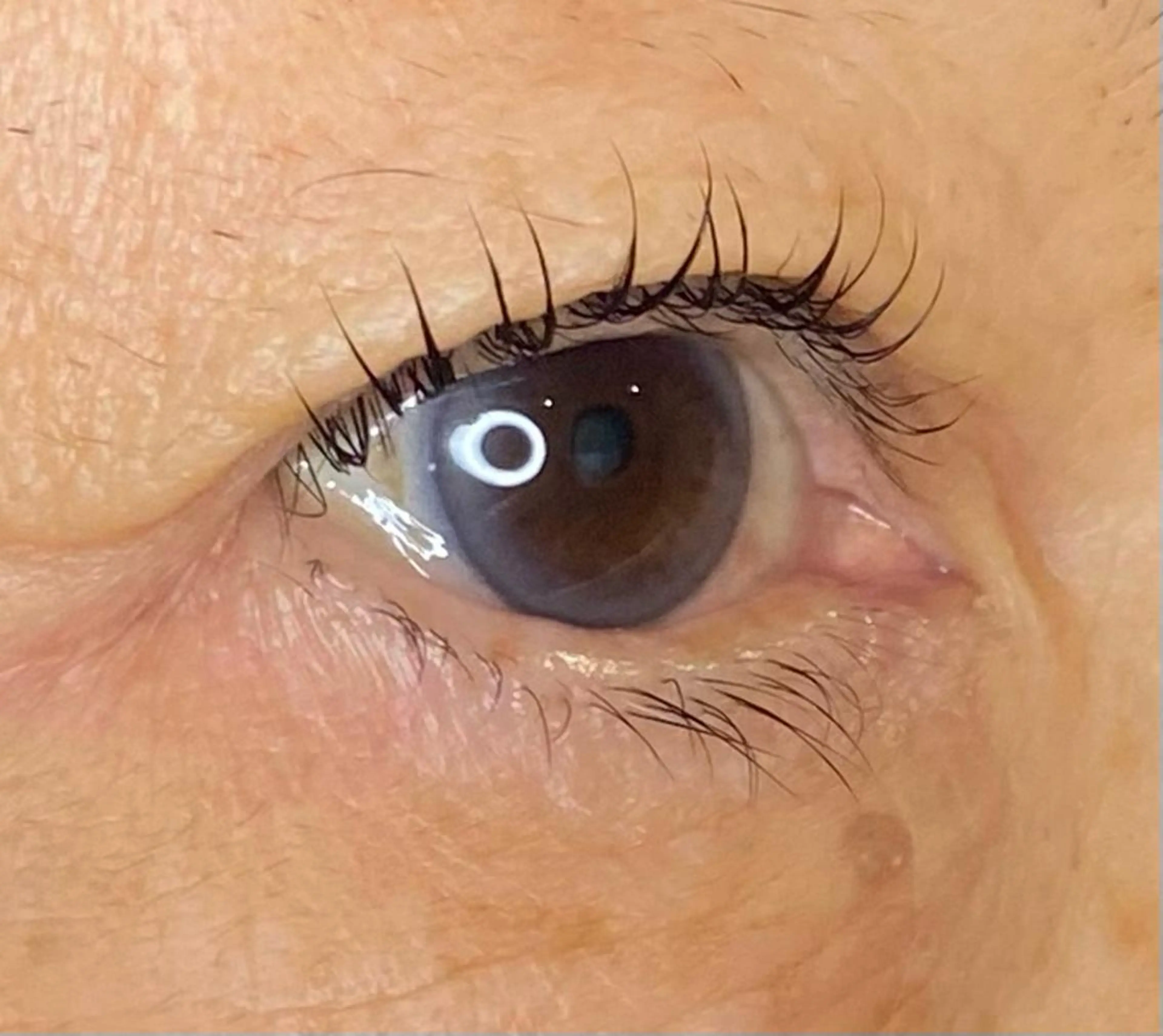 マツエク・マツパ アイリスト CHISAの眉毛・アイブロウイメージ