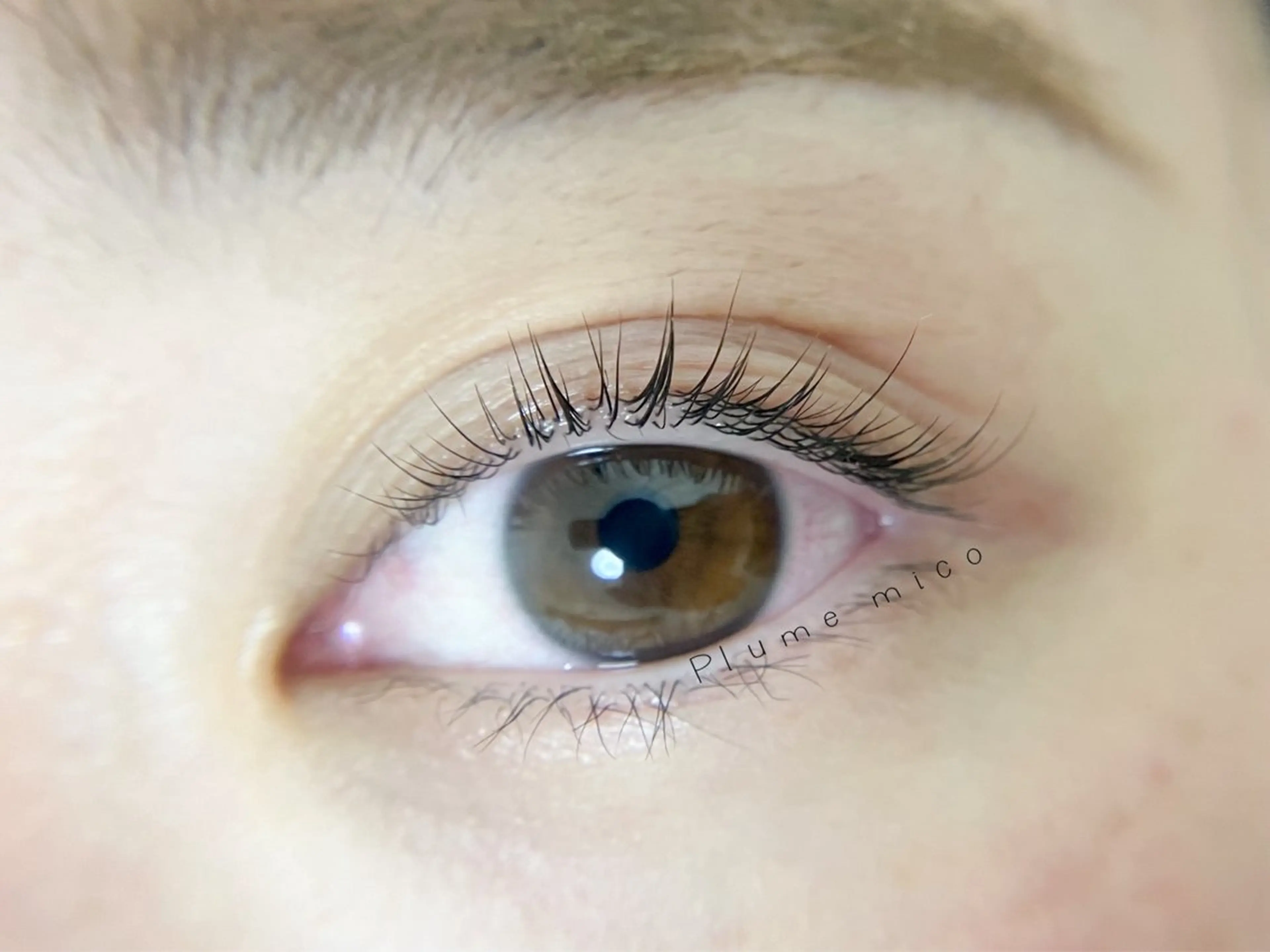 マツエク・マツパ マツパ Plume micoのマツエク・マツパデザイン