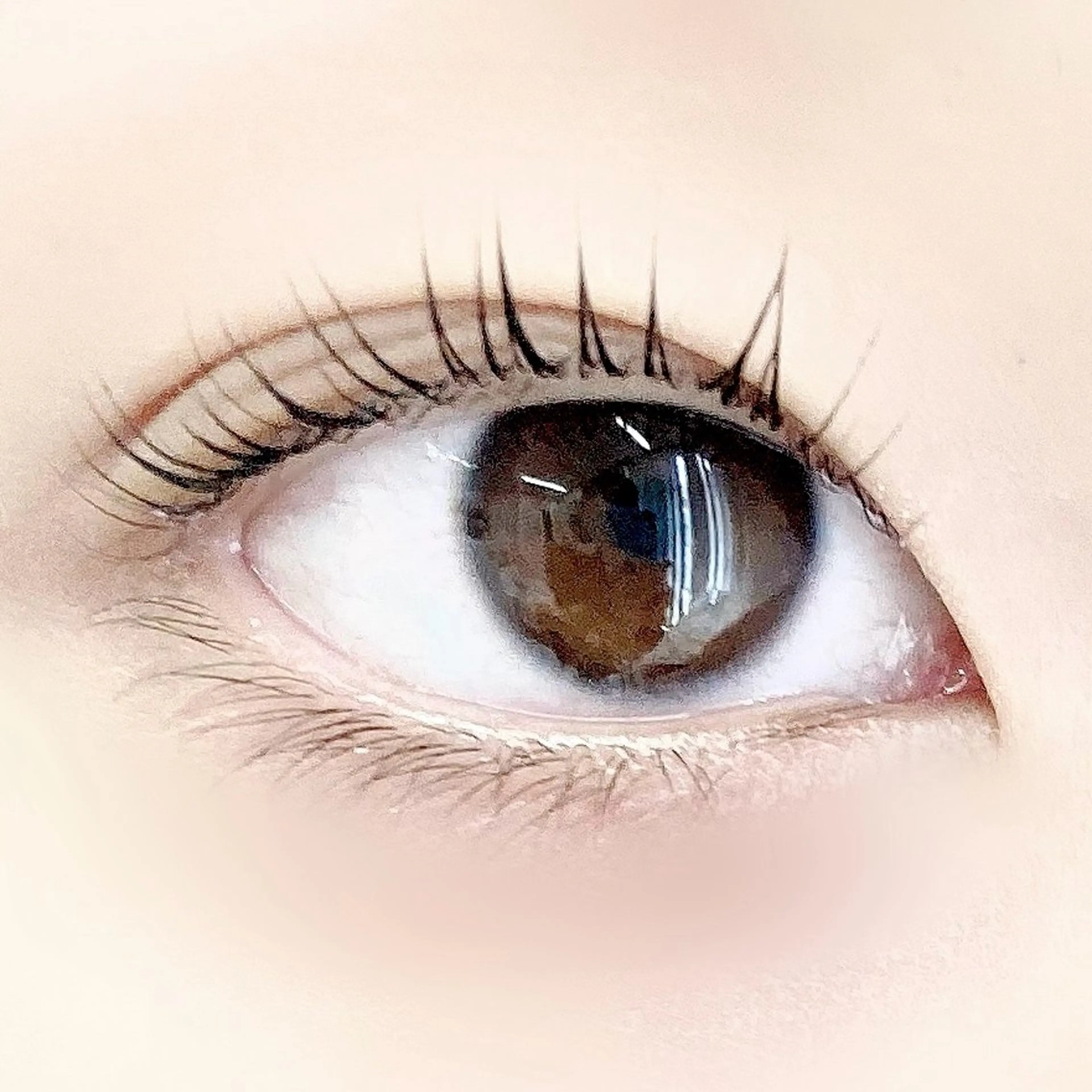 ãããšã¯ã»ããã ð
ðŒðŒ â¡ã®ãããšã¯ã»ããããã¶ã€ã³