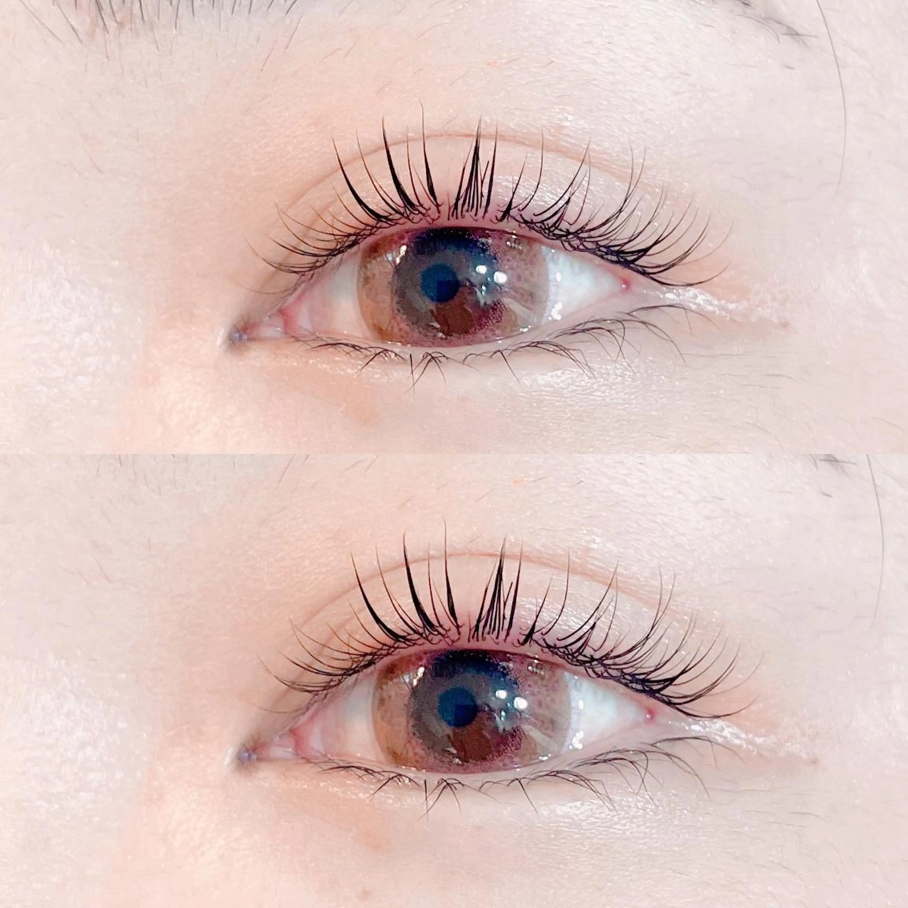 マツエク・マツパ パリジェンヌラッシュリフト まつげパーマ Mori ✨Mystical✨のマツエク・マツパデザイン