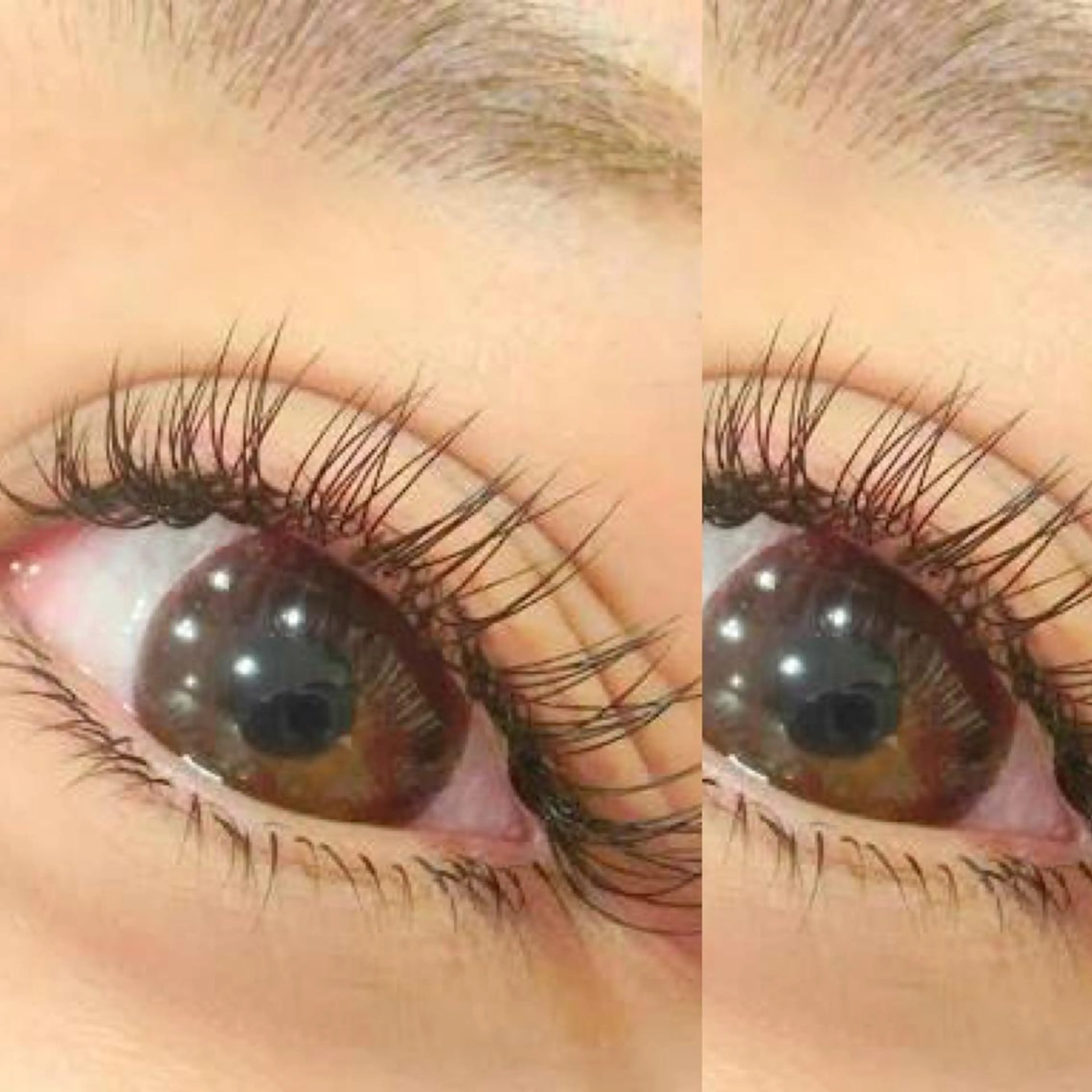 本日限定💎マツエクつけ放題200本までの写真