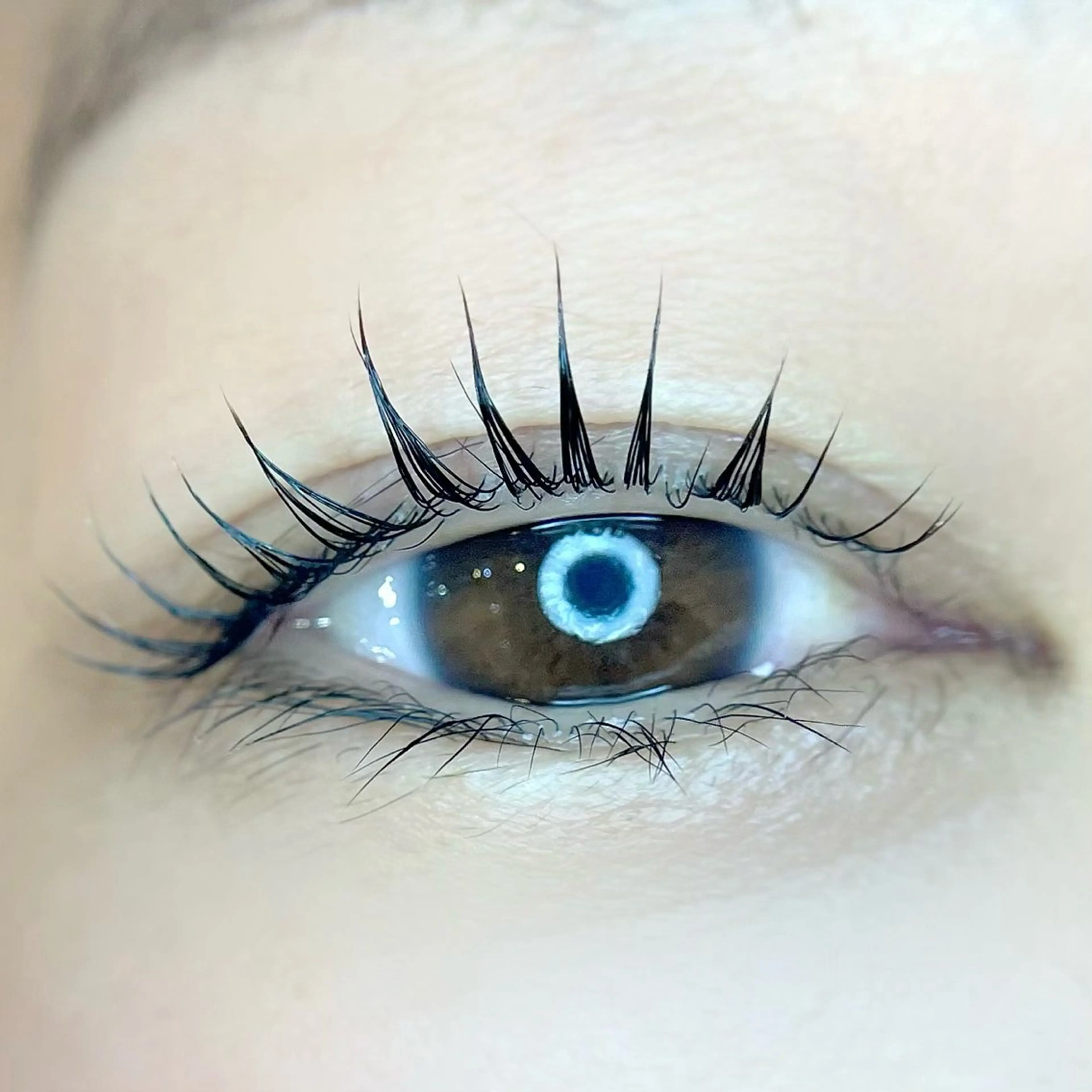 マツエク・マツパ Luana＋ Kuroiwaのエステ・リラクイメージ