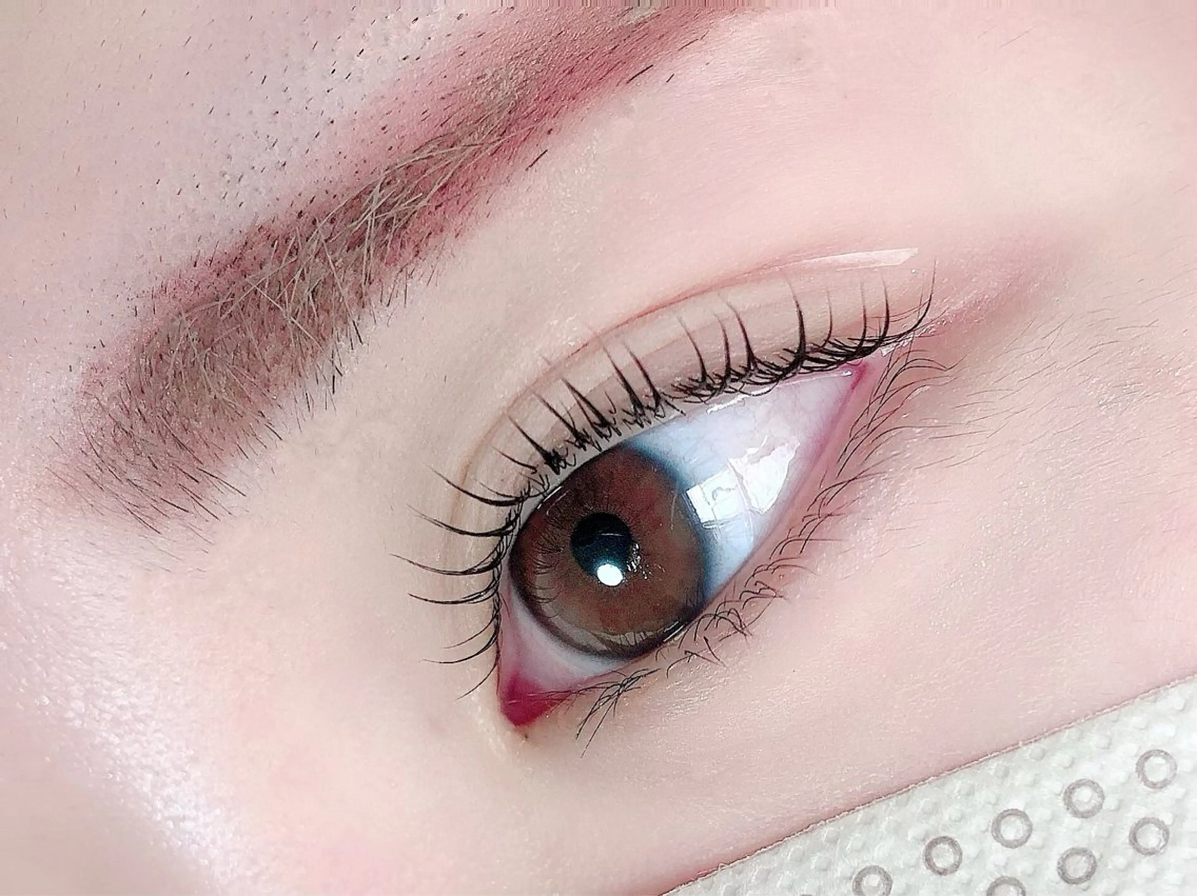 マツエク・マツパ マツパ K&E lashe /大垣 まつ毛、眉毛のマツエク・マツパデザイン