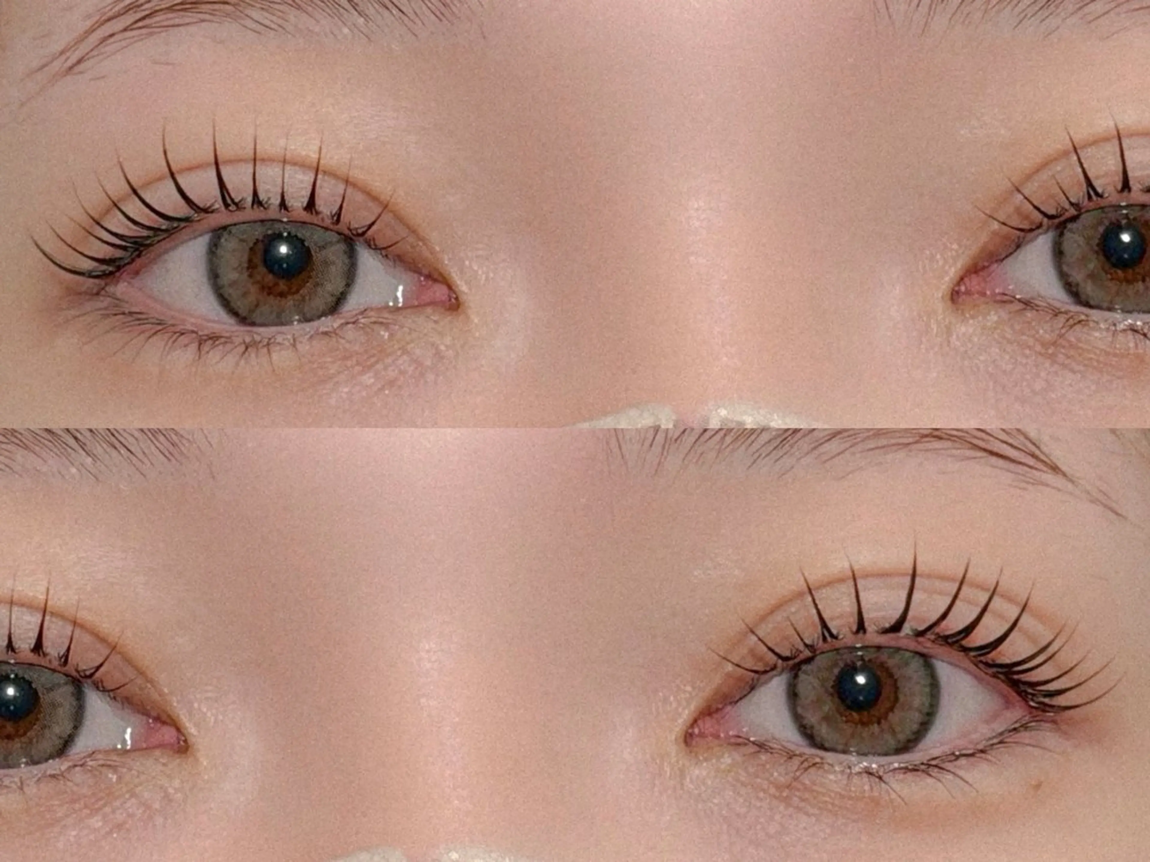 まつげパーマ＋トリートメントの写真