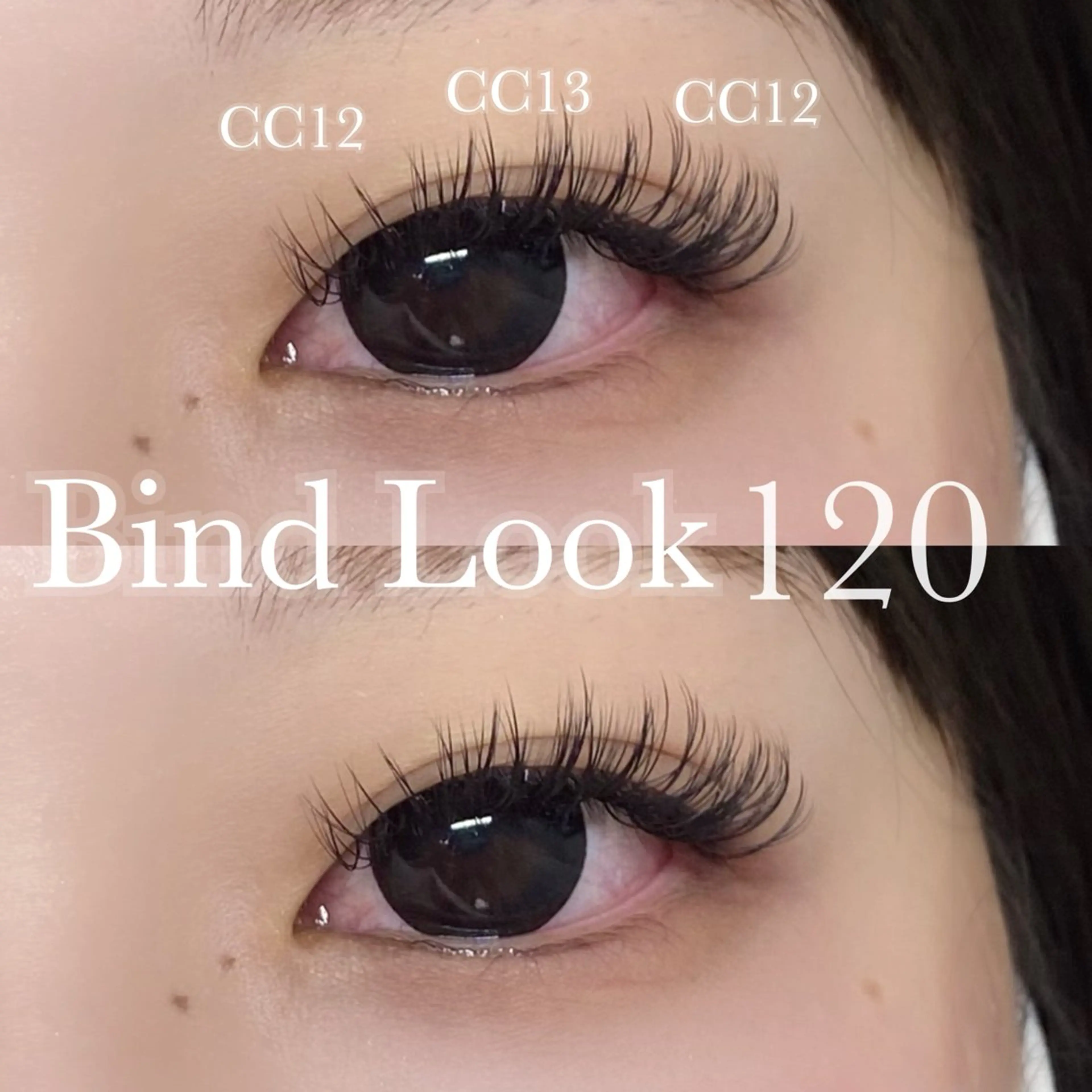 🐶〖バインドロック〗(120束)の写真