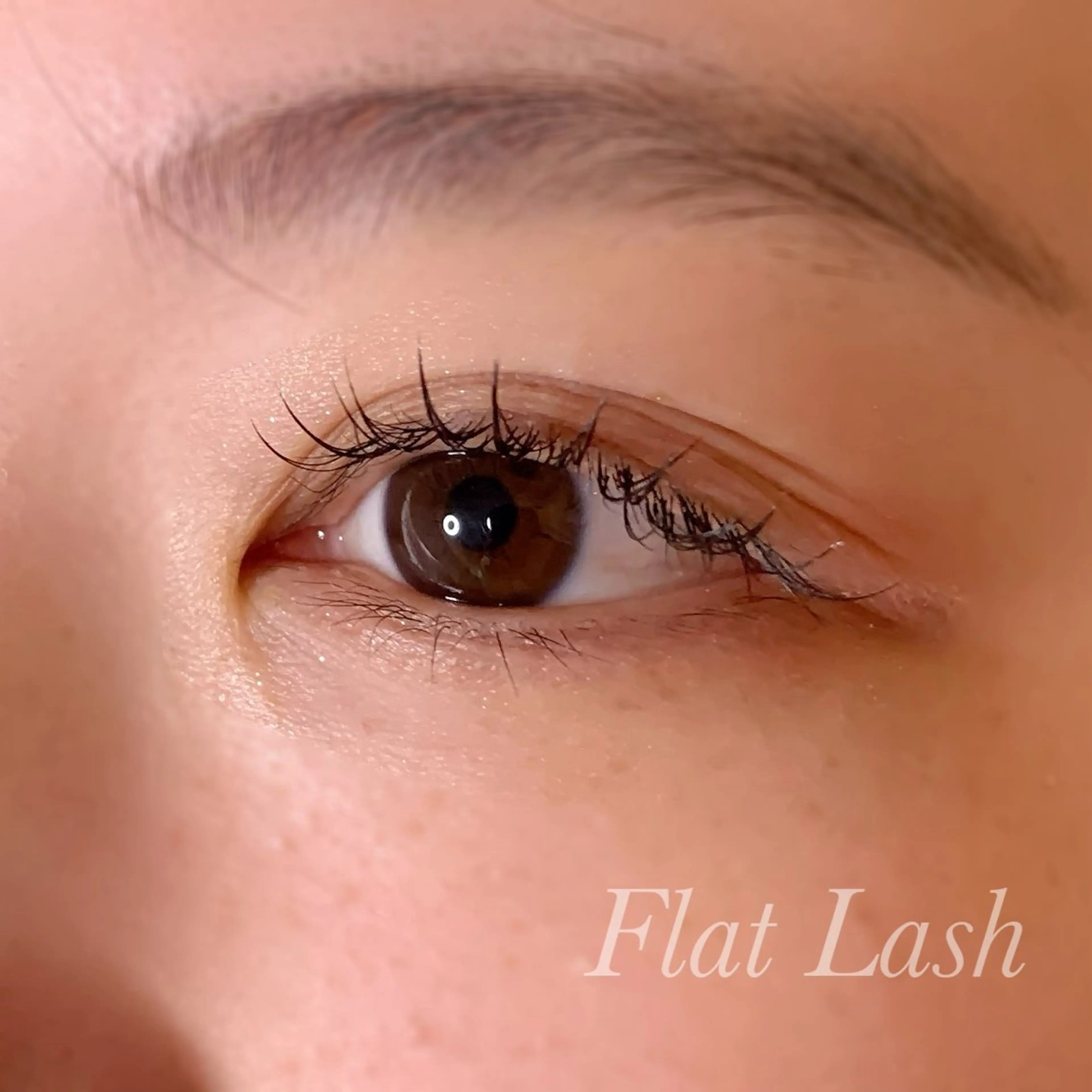 マツエク・マツパ Cカール フラットラッシュ Ayumi.pro 🍆N《4階》のマツエク・マツパデザイン