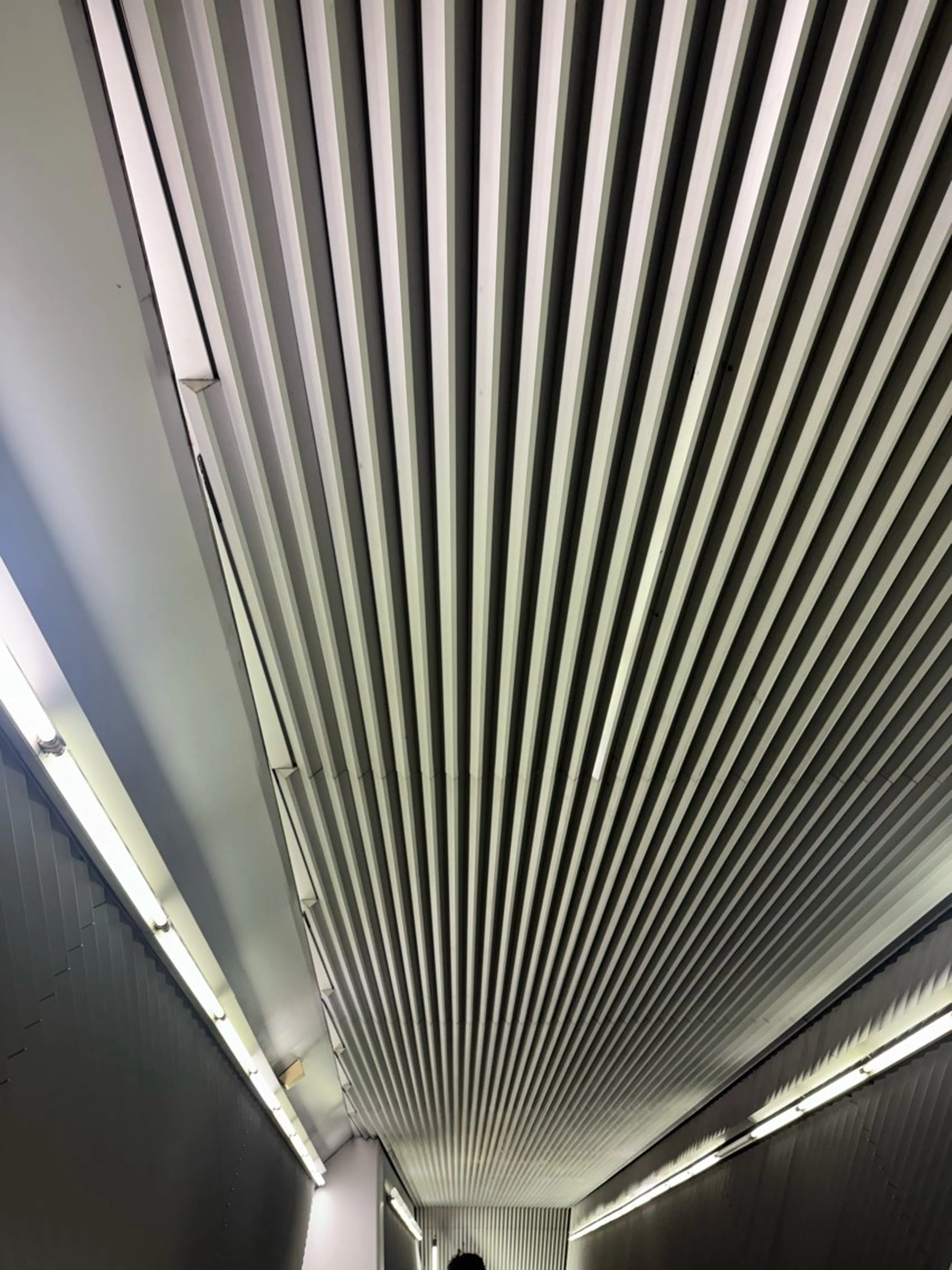 ネイル MITSUKI🪡 海外/個性派/ロングのネイルデザイン