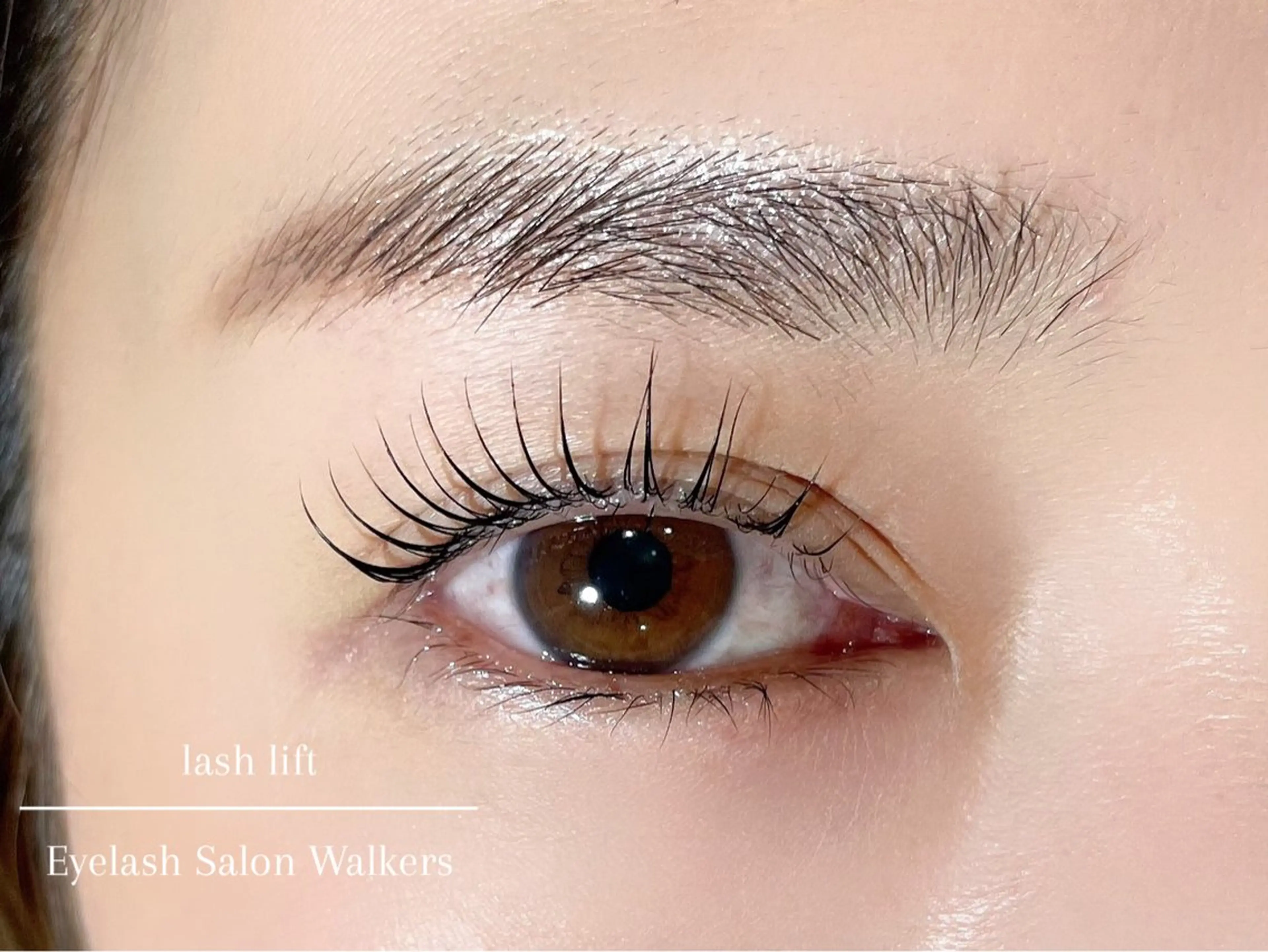 🧸「束感」韓国風まつげパーマ（コーティング付き）🌟の写真